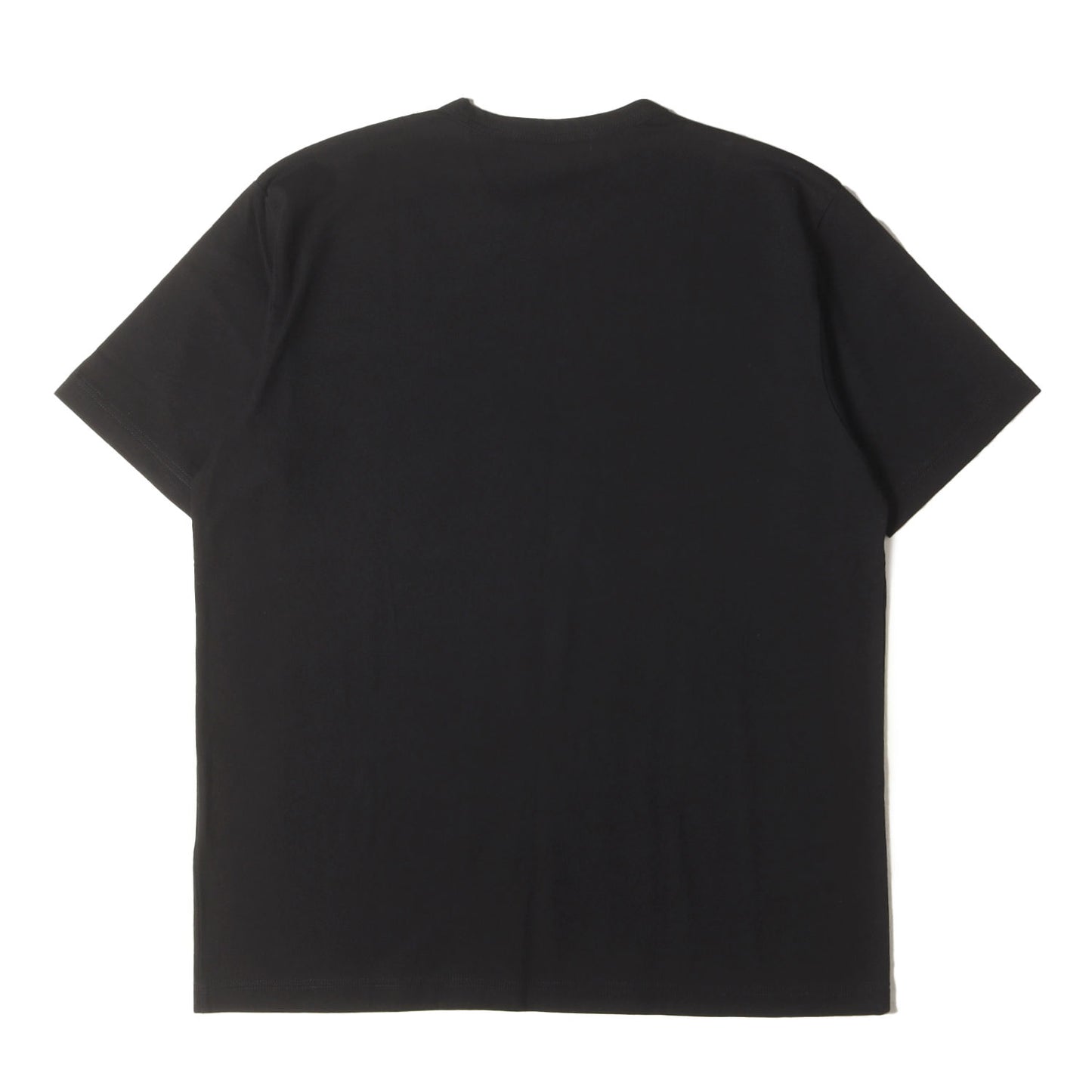 24SS × SCORPIONS ヘビーウェイト Tシャツ (WM-T018)
