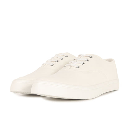 キャンバス ローカット スニーカー (1431-699-7949) / BEAUTY&YOUTH