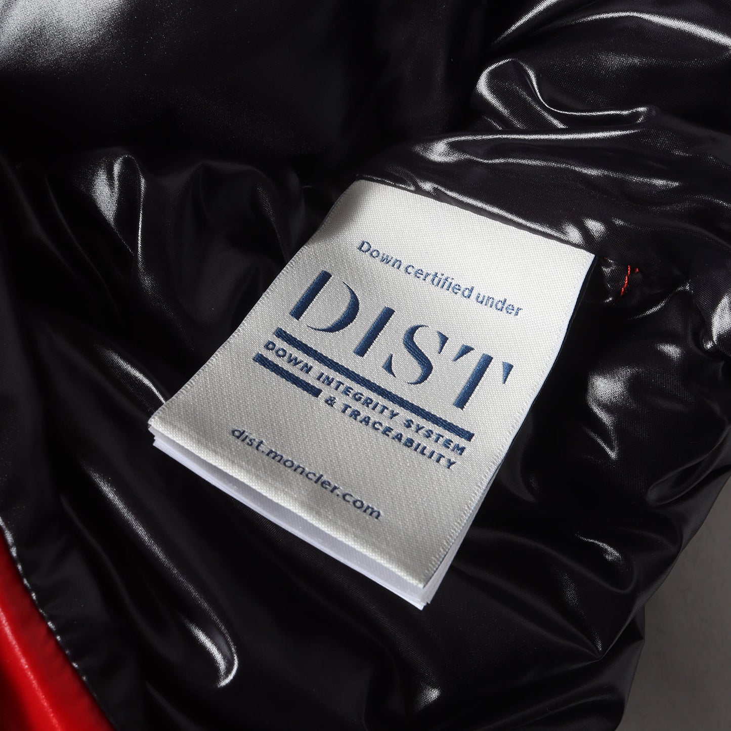 20AW ロゴテープ 刺繍 フーデッド シャイニー ナイロン ダウンベスト (AGNEAUX GILET F20911A51C00 68950)