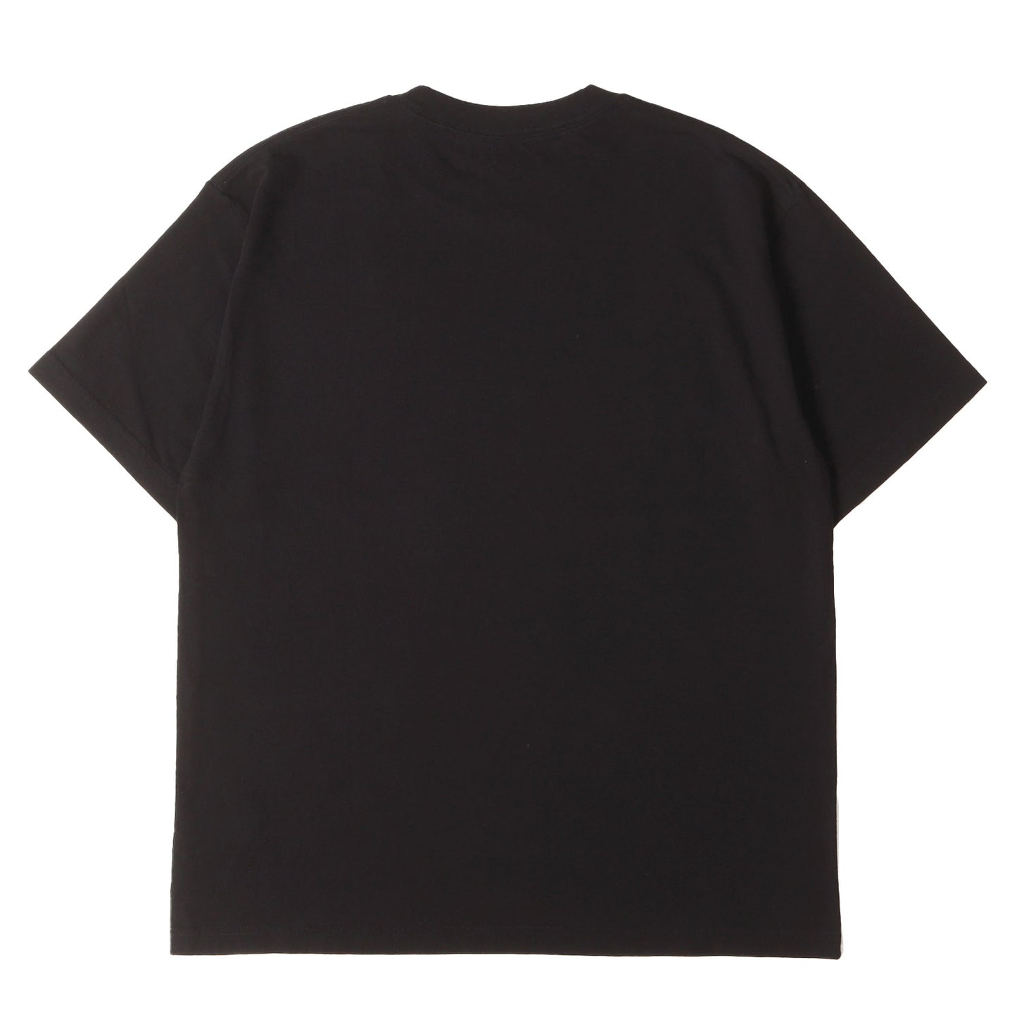 25AW × Stie-lo × Irina Lazareanu フォトグラフィック Tシャツ (Stie-lo Irina.L The front T-SH)