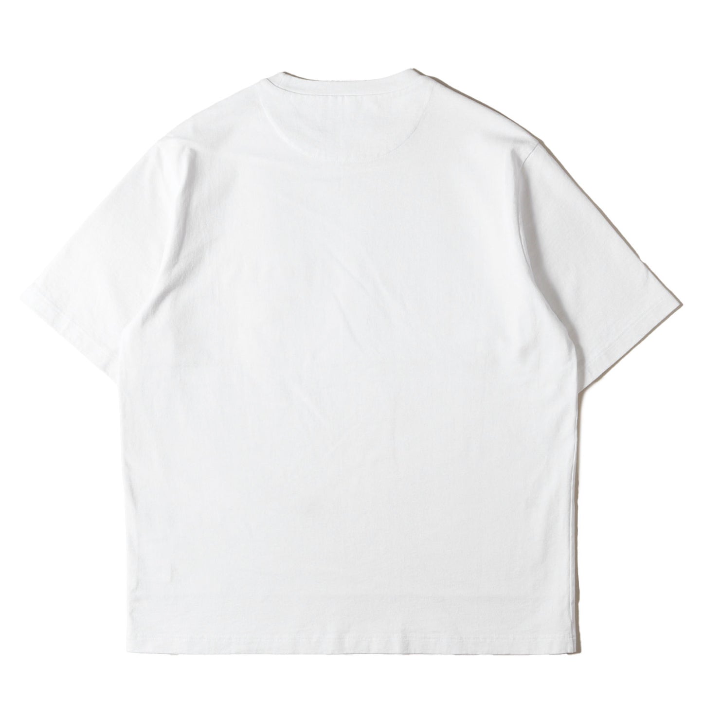 2024年 コットン Tシャツ