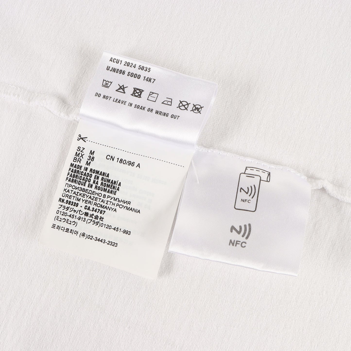 2024年 コットン Tシャツ