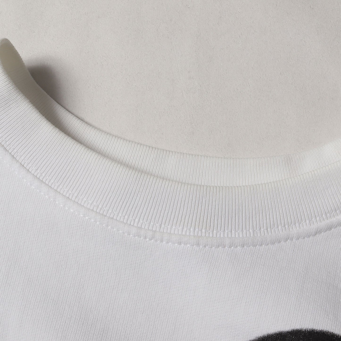 21SS ポートレート スウェット トレーナー (211-M165A)