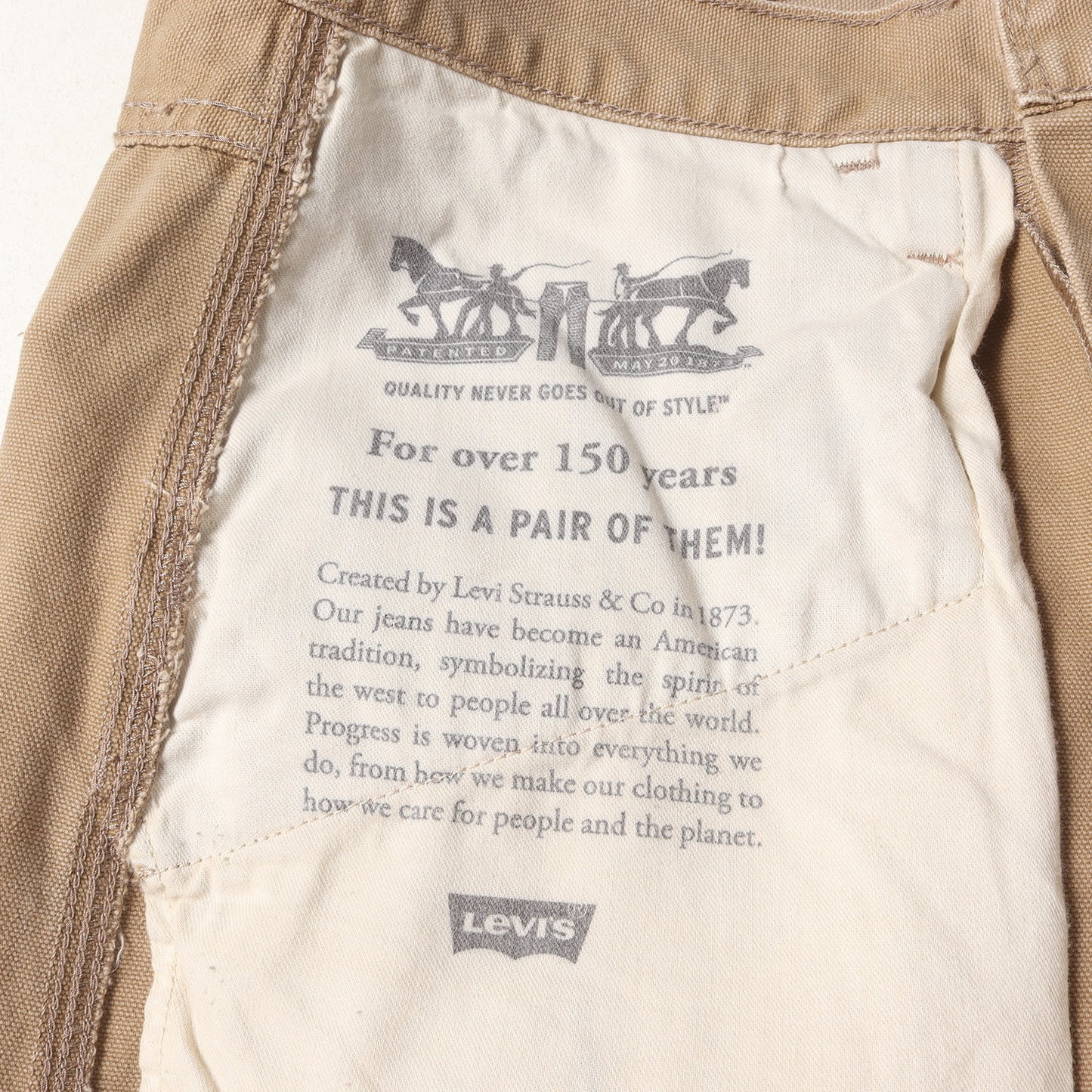 24SS ダブルニー ペインターパンツ (568 LOOSE STRT DBL KNEE TIGERS A7367)