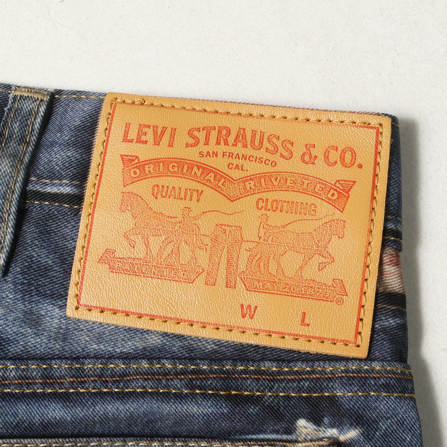 25SS × Levi's × BerBerJin 転写プリント ナイロンパンツ (WO-P918)
