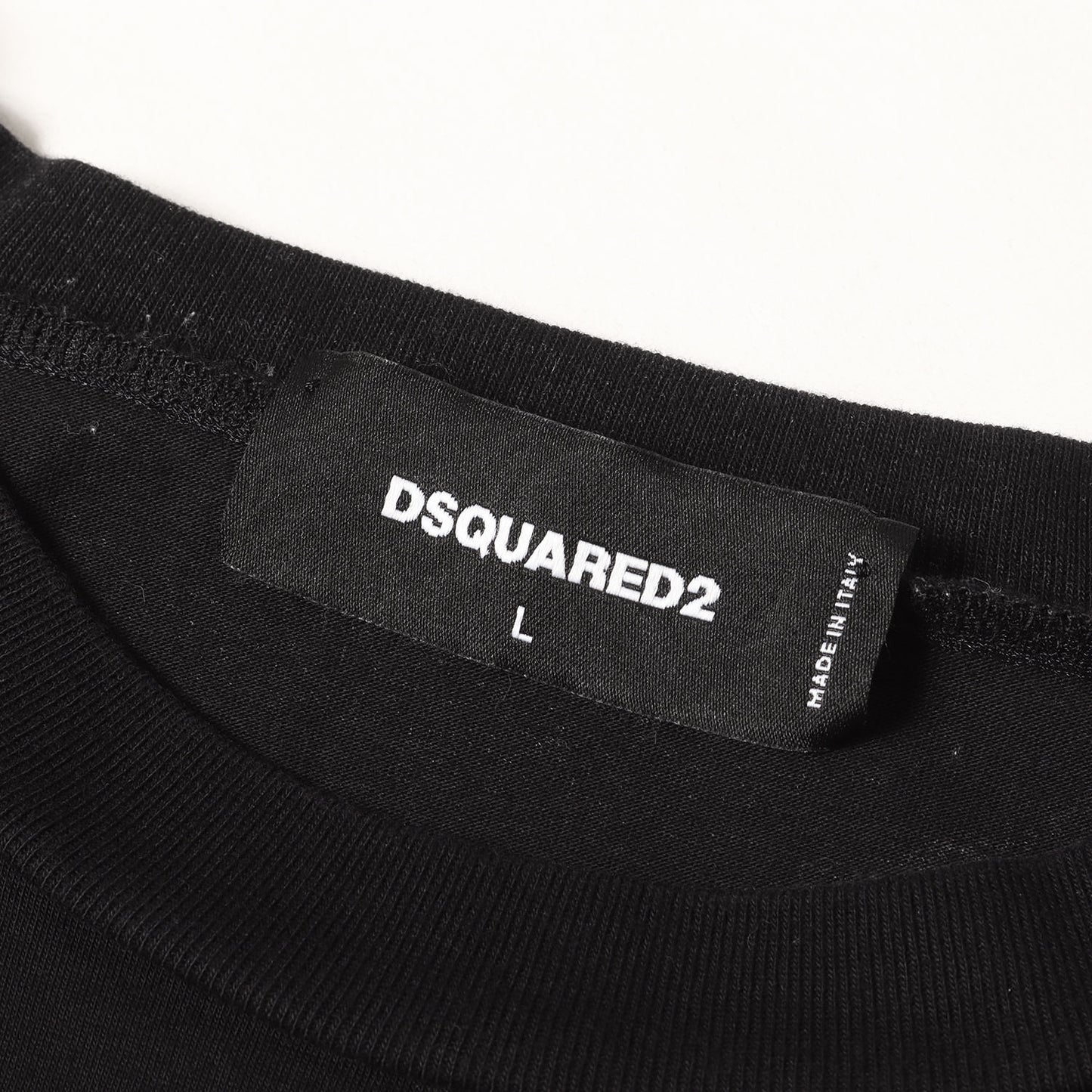 24SS グラフィック Tシャツ (D2 POP 80'S LOOSE FIT T-SHIRT)