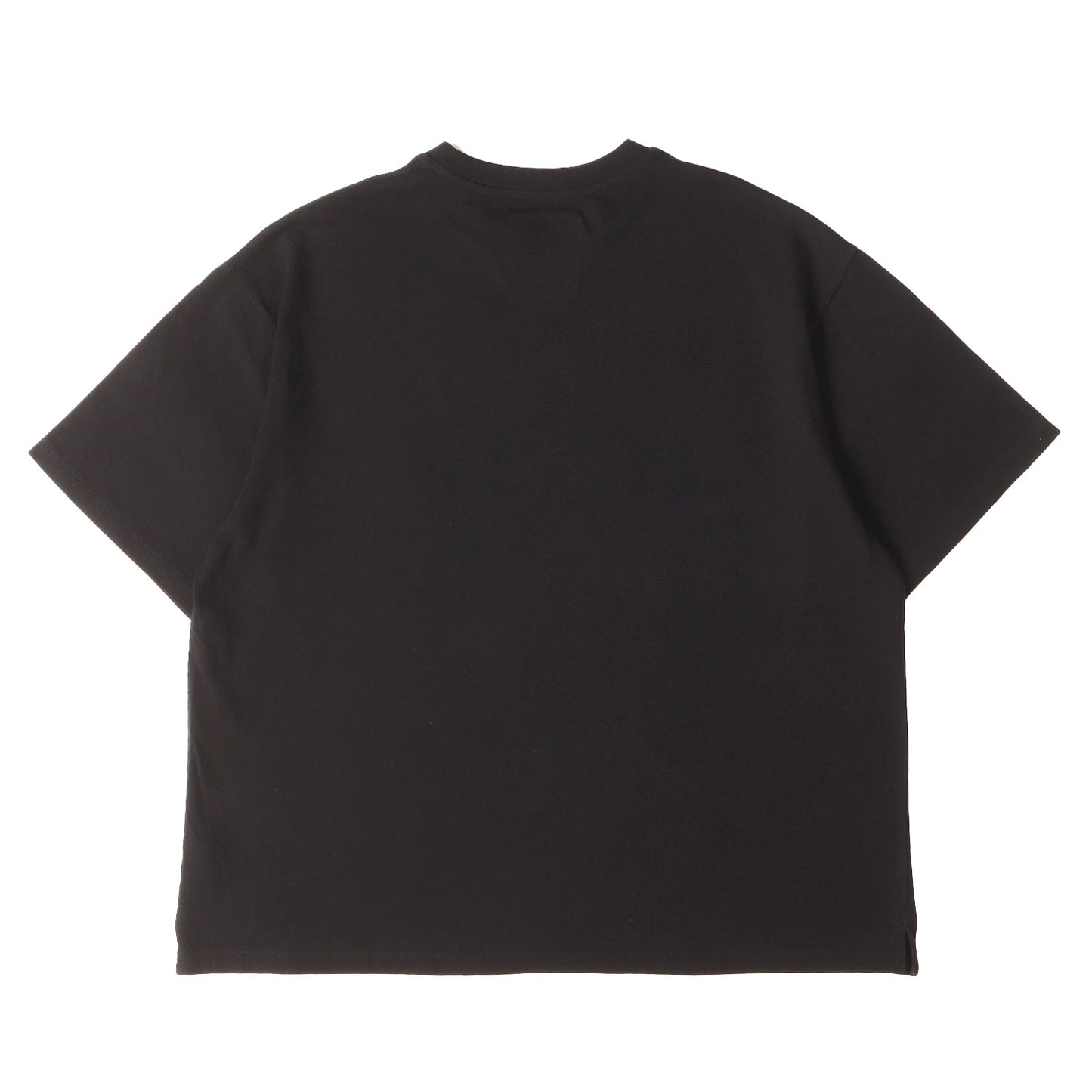 25SS レギュラーフィット クルーネック Ｔシャツ (Regular Fit Crewneck Tshirt)