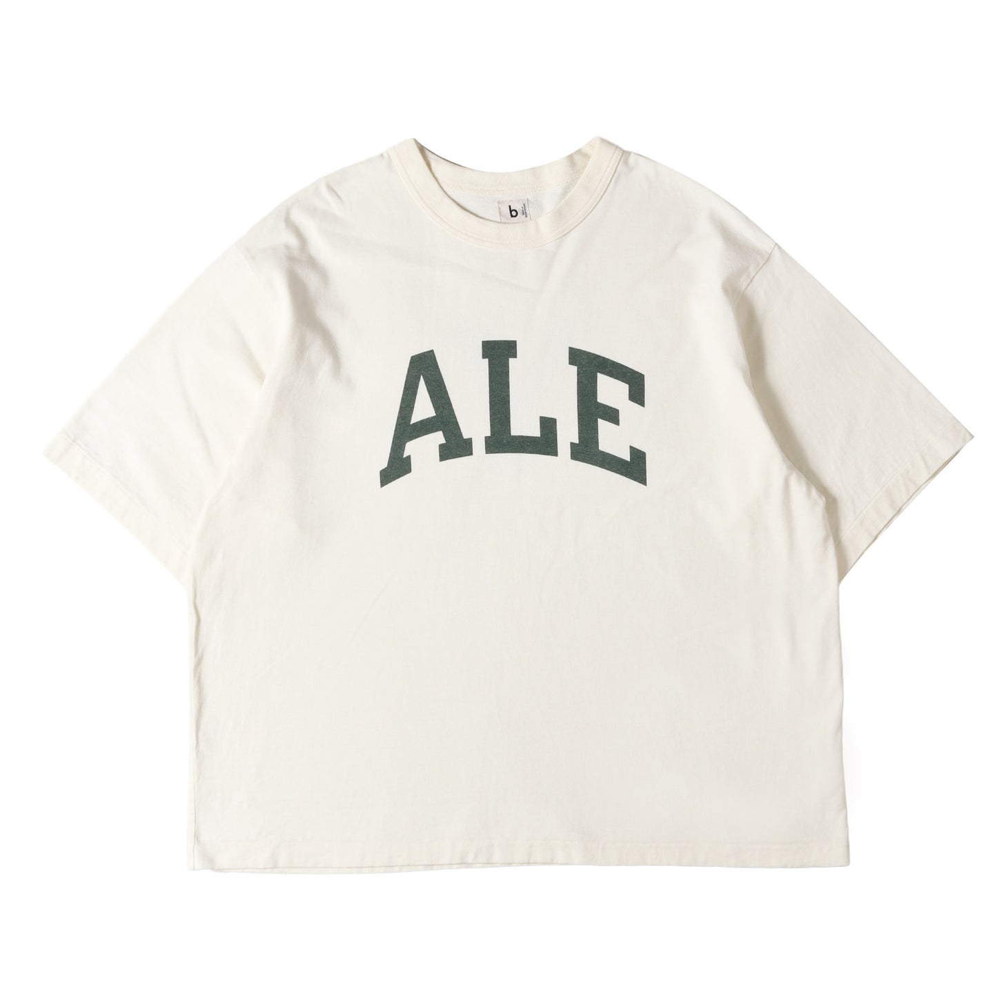 23SS グラフィック ロゴ Tシャツ (Cotton Rayon 88/12 print Tee bROOTS23S32) / ROOTS