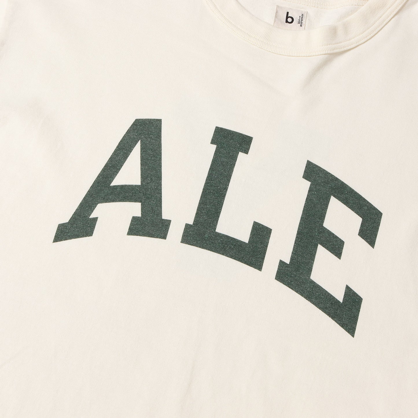23SS グラフィック ロゴ Tシャツ (Cotton Rayon 88/12 print Tee bROOTS23S32) / ROOTS