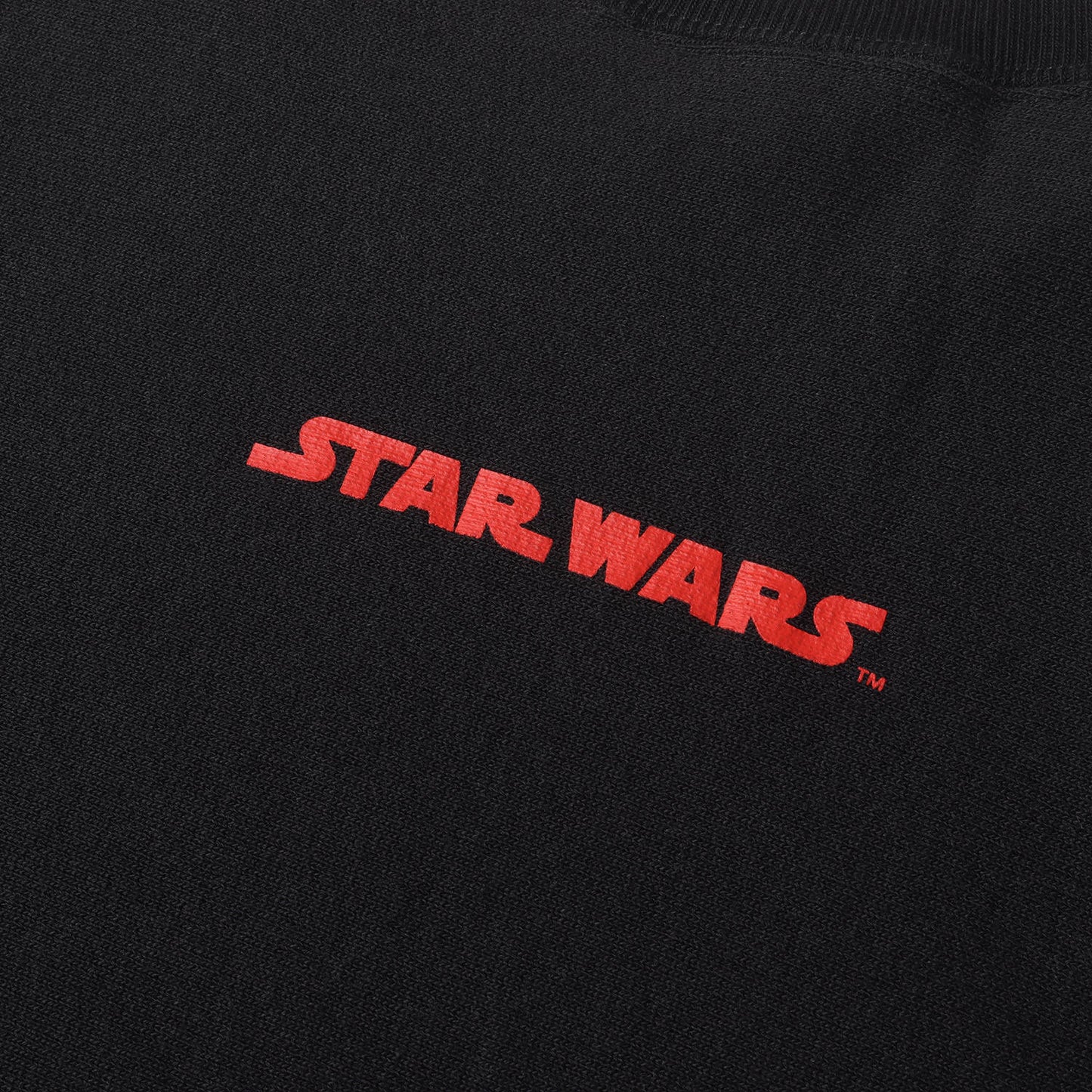24AW × Champion × STARWARS 別注 リバースウィーブ スウェット トレーナー (C8-A047)