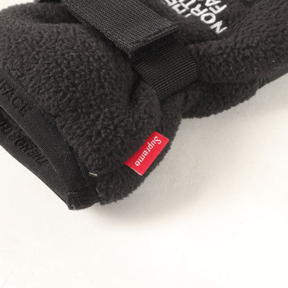 × THE NORTH FACE GORE-TEX RTG フリース グローブ (Fleece Gloves)