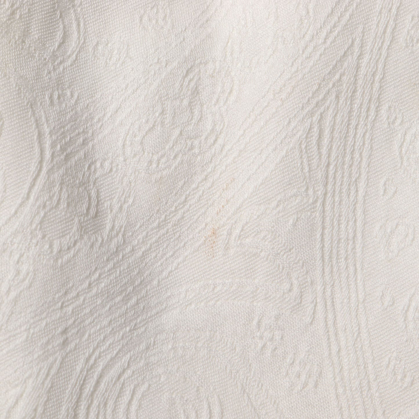 シャドー ペイズリー 2B テーラード ジャケット