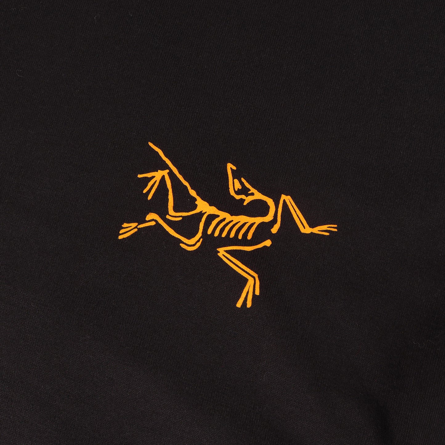 24SS アイコン ロングスリーブ Tシャツ (Arc Multibird Logo Long Sleeve)