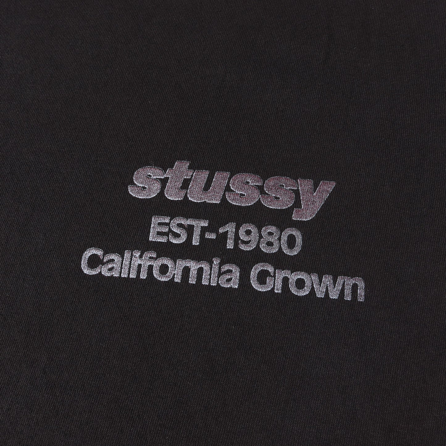 24SS グラフィック ロゴ Tシャツ (California Grown Tee Pigment Dyed)