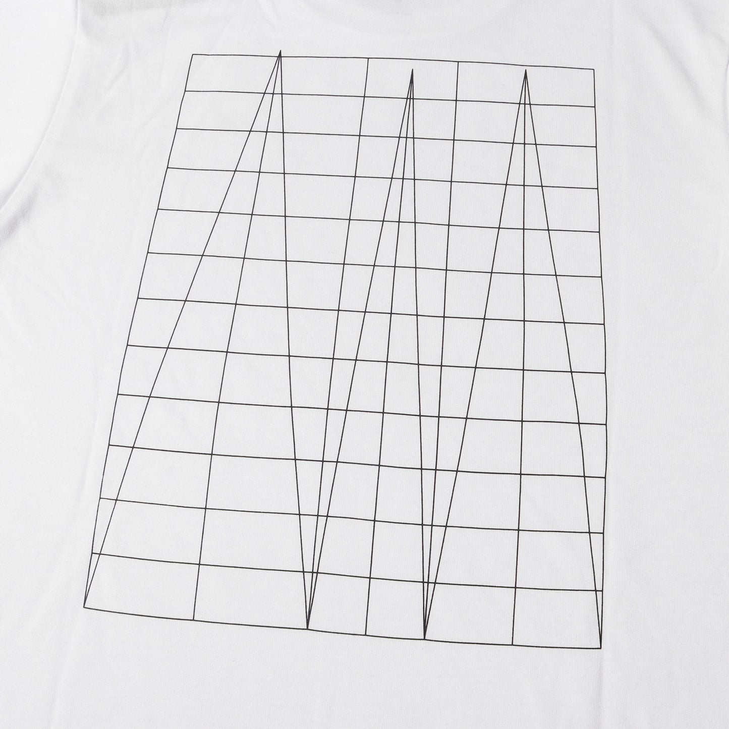 24SS バックグラフィック カットソー (Peak-motif Print L/S T-shirt)