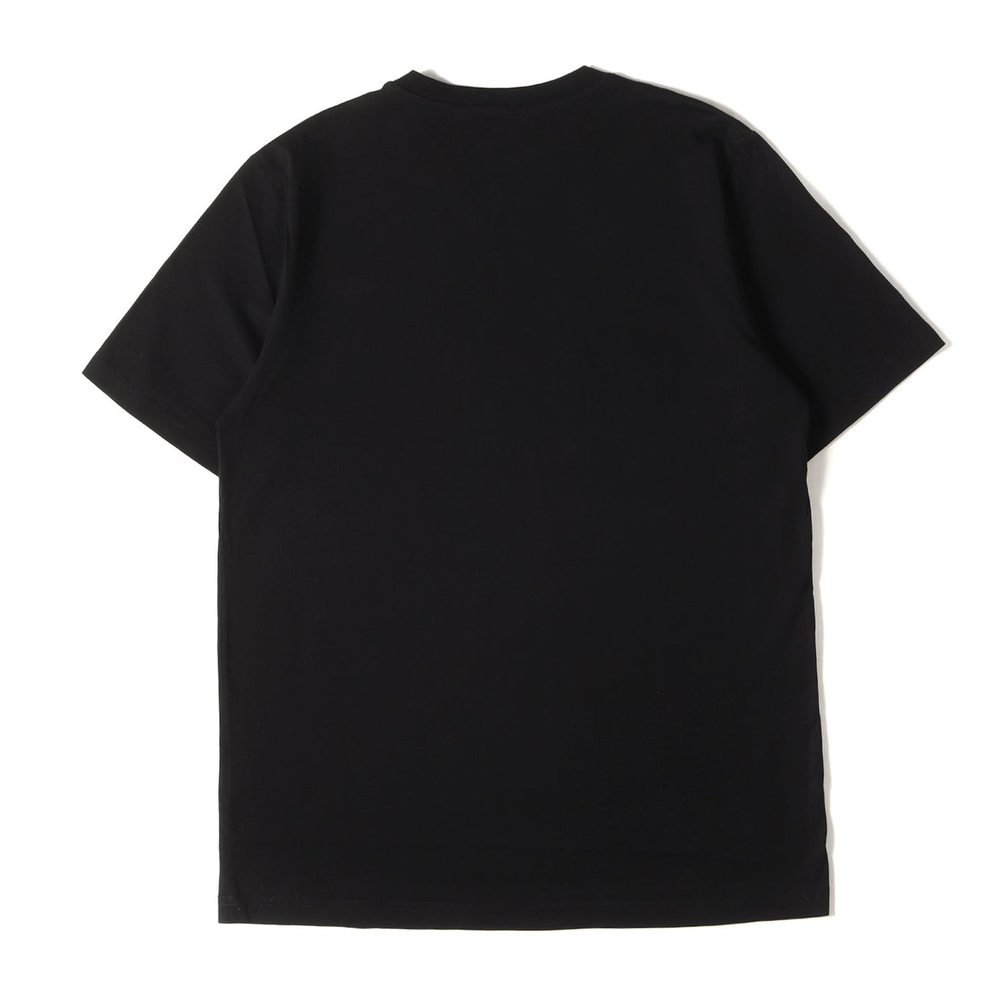 グラフィック ロゴ Tシャツ (T-JUST-A35)