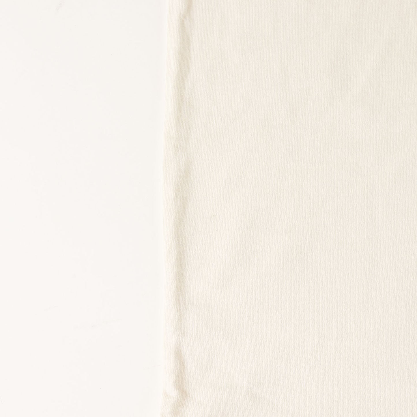 25SS × PEANUTS&CO. SNOOPY ロゴ Tシャツ (Kith for Peanuts Joe Cool Vintage Tee)