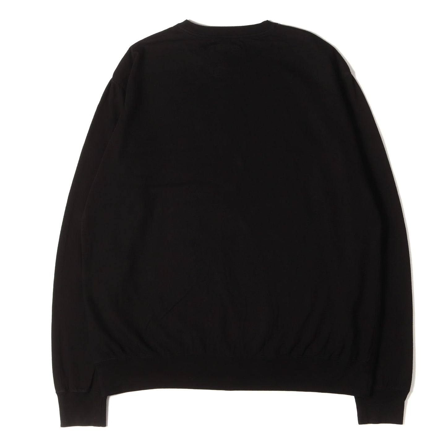 25SS ロングスリーブ Tシャツ (Long Sleeve Crewneck Tshirt) / ALL THE YOUNG DUDES