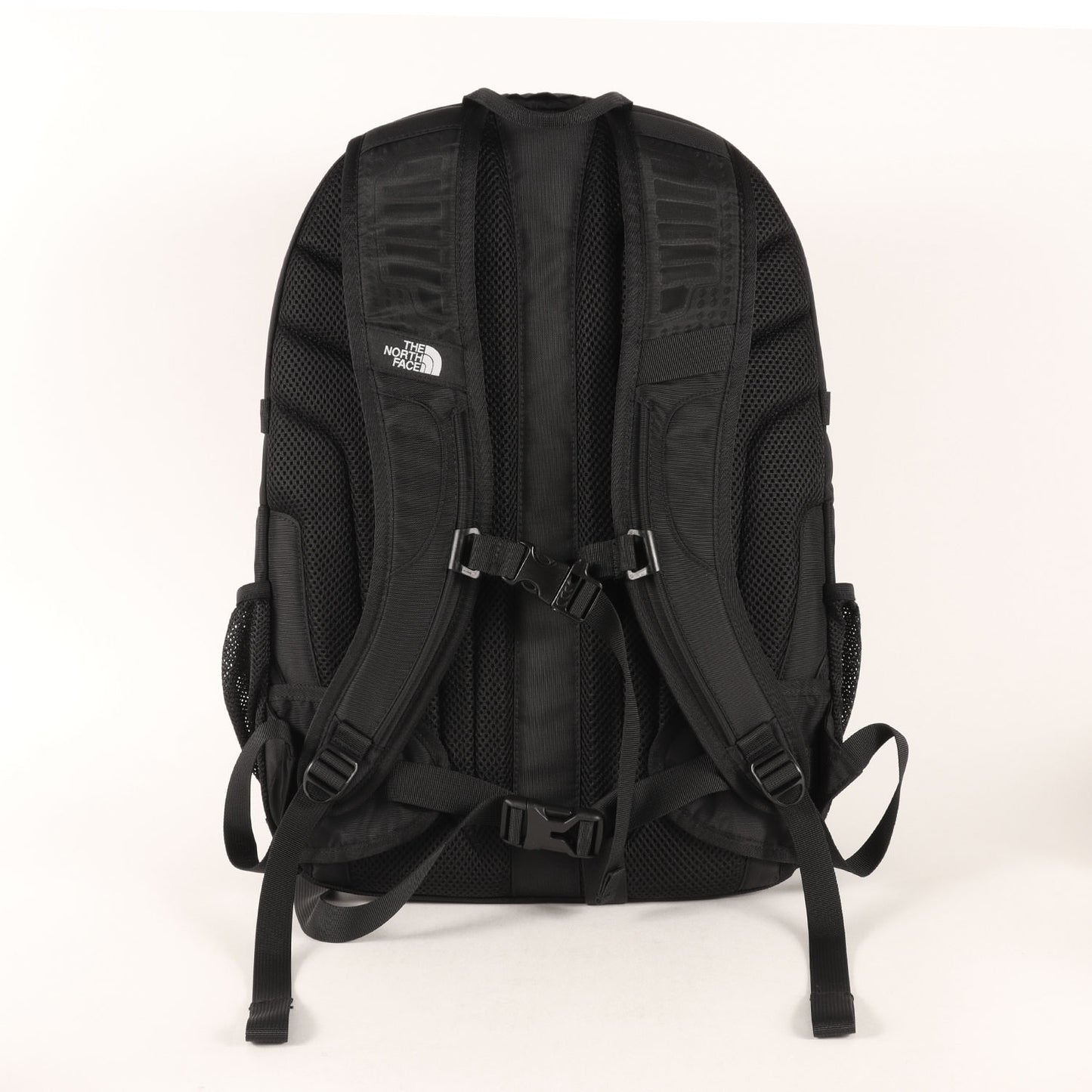 24AW × THE NORTH FACE ボリアリス クラシック (TNF×DSM Borealis Classic)
