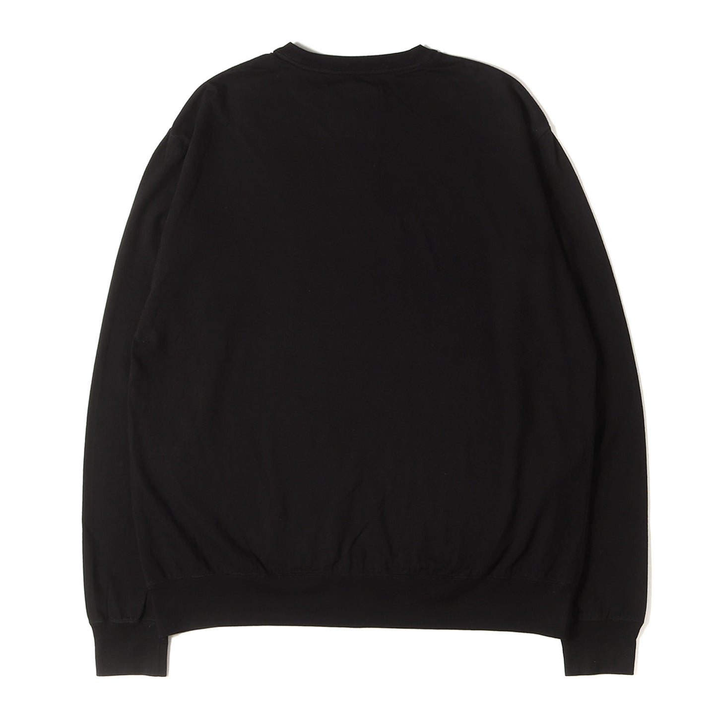 25SS ロングスリーブ Tシャツ (Long Sleeve Crewneck Tshirt) / ALL THE YOUNG DUDES