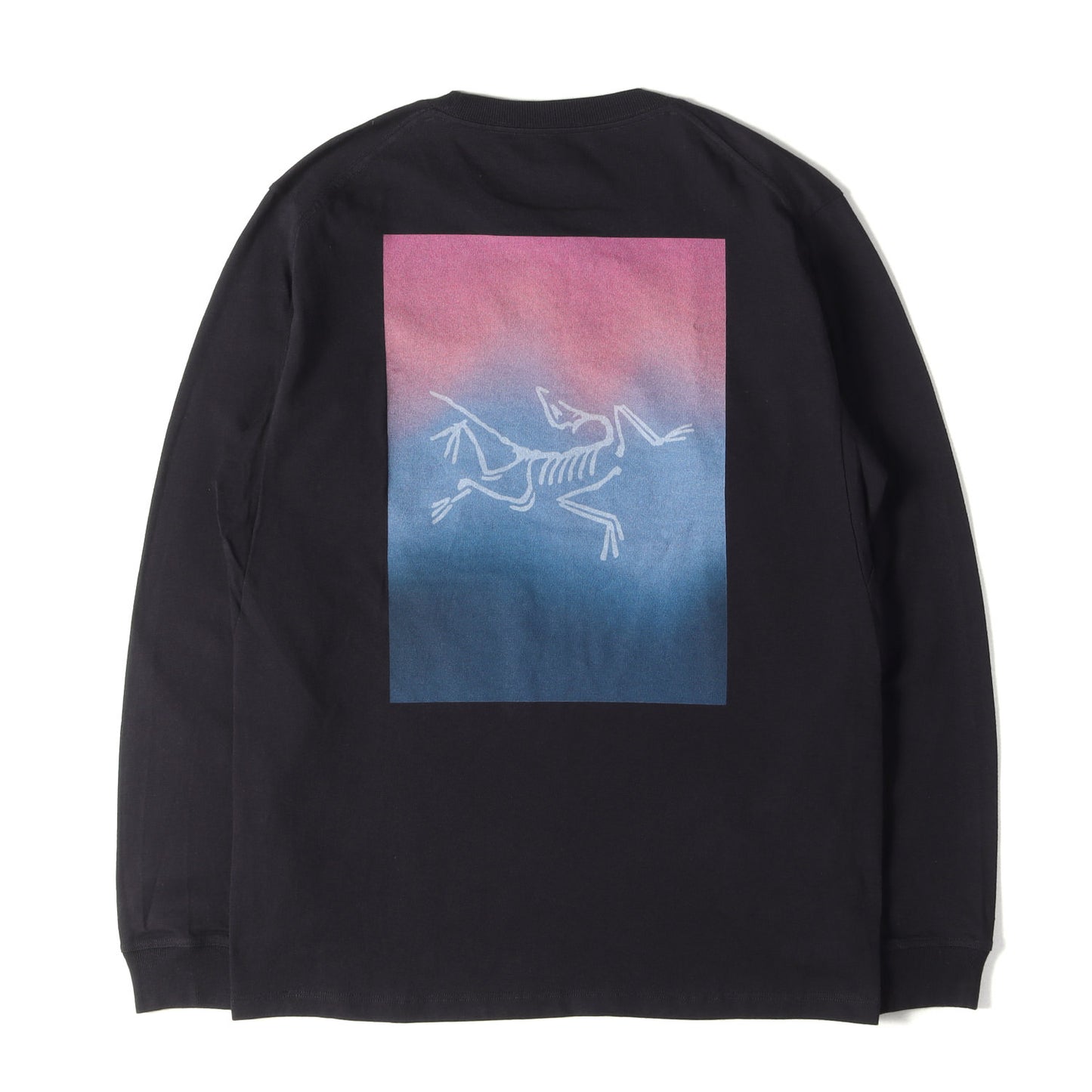 24AW グラフィック ロングスリーブ Tシャツ (KRAGG CTTN HT LSWHITE LIGHT)