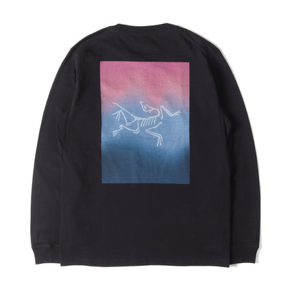 24AW グラフィック ロングスリーブ Tシャツ (KRAGG CTTN HT LSWHITE LIGHT)