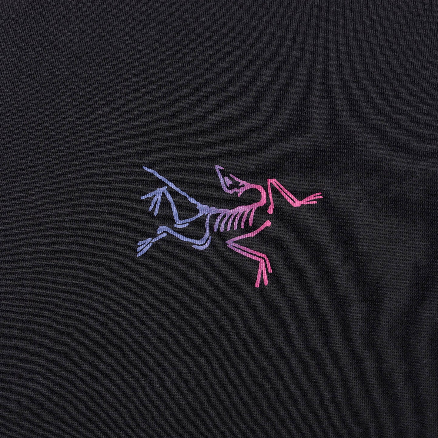 24AW グラフィック ロングスリーブ Tシャツ (KRAGG CTTN HT LSWHITE LIGHT)