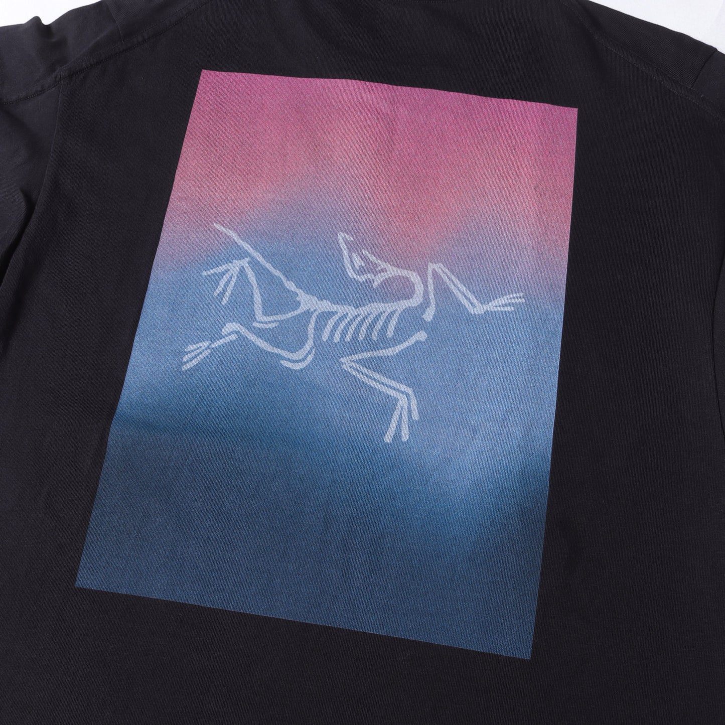 24AW グラフィック ロングスリーブ Tシャツ (KRAGG CTTN HT LSWHITE LIGHT)