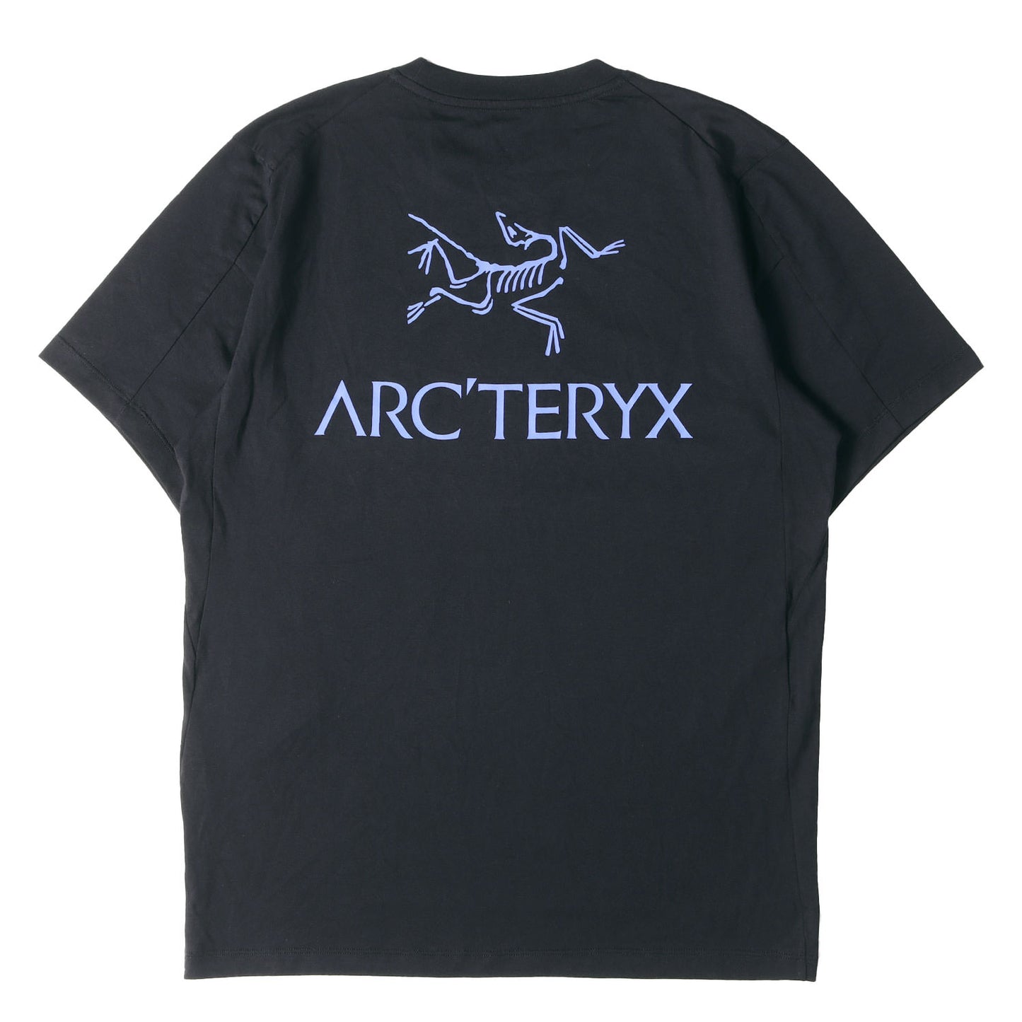 25SS グラフィック ロゴ Tシャツ (Kragg SL Cotton Blurred Bird Word SS)