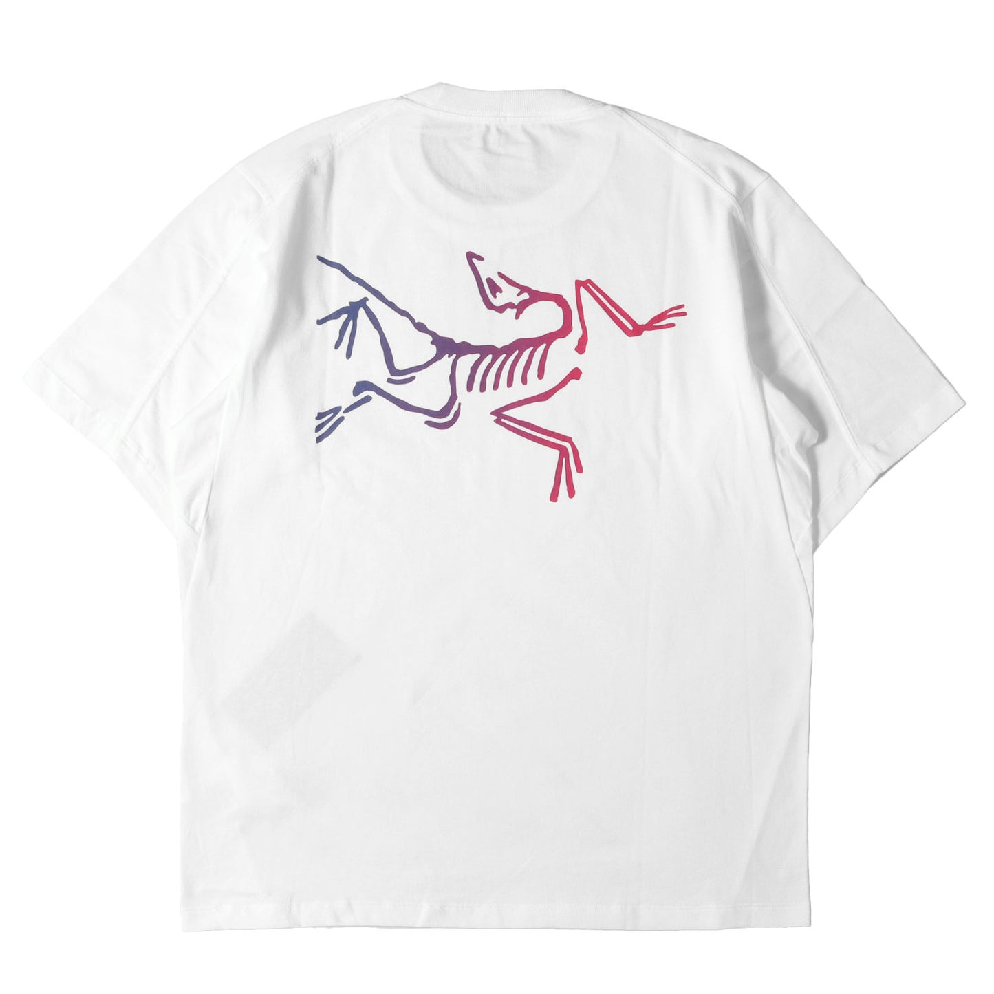 25SS グラフィック ロゴ Tシャツ (Kragg Cotton Logo SS)