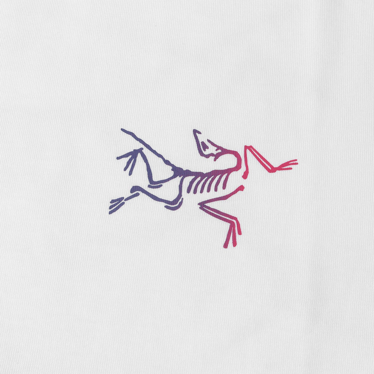 25SS グラフィック ロゴ Tシャツ (Kragg Cotton Logo SS)
