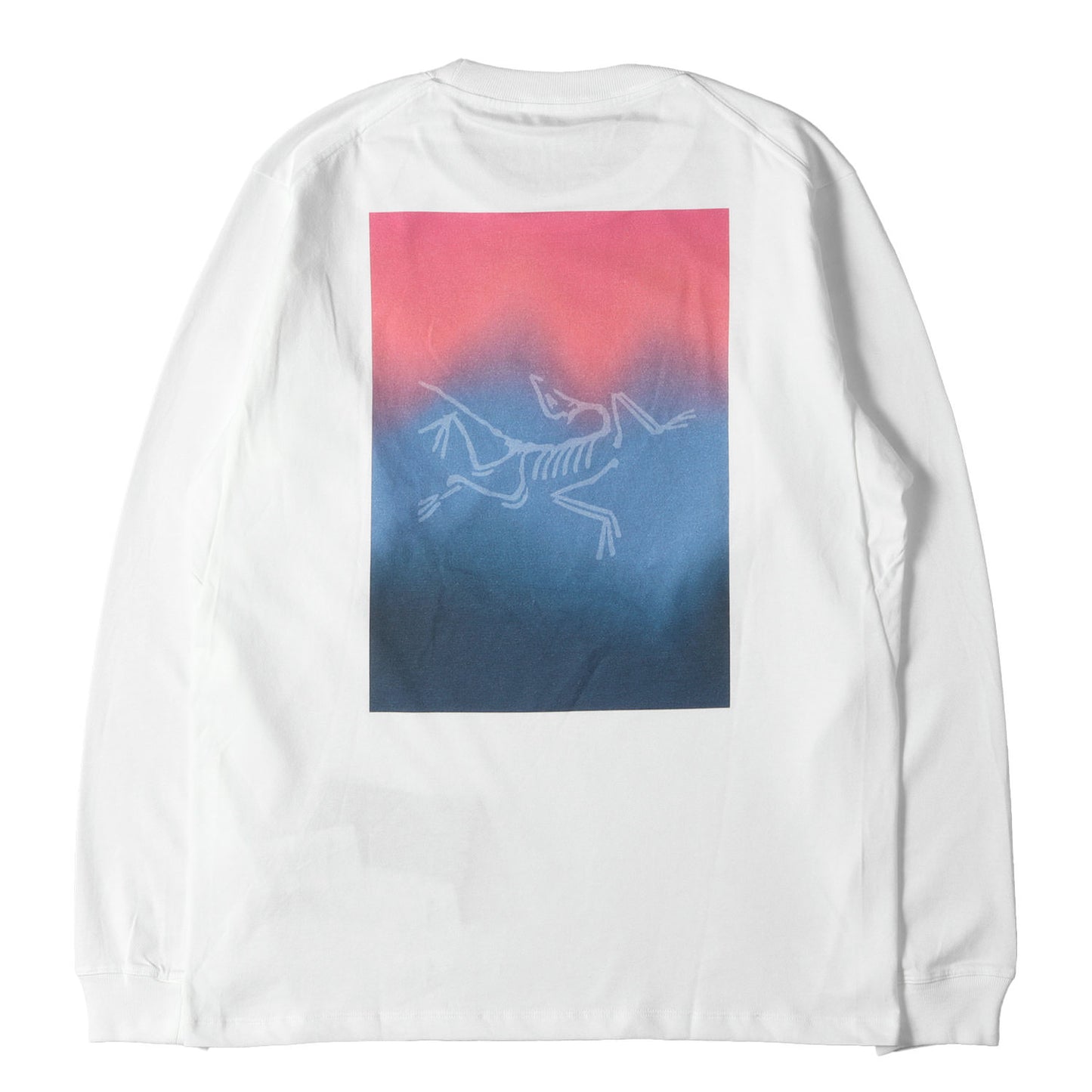 25SS グラフィック ロングスリーブ Tシャツ (Kragg Cotton Heatmap LS)