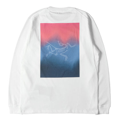 25SS グラフィック ロングスリーブ Tシャツ (Kragg Cotton Heatmap LS)