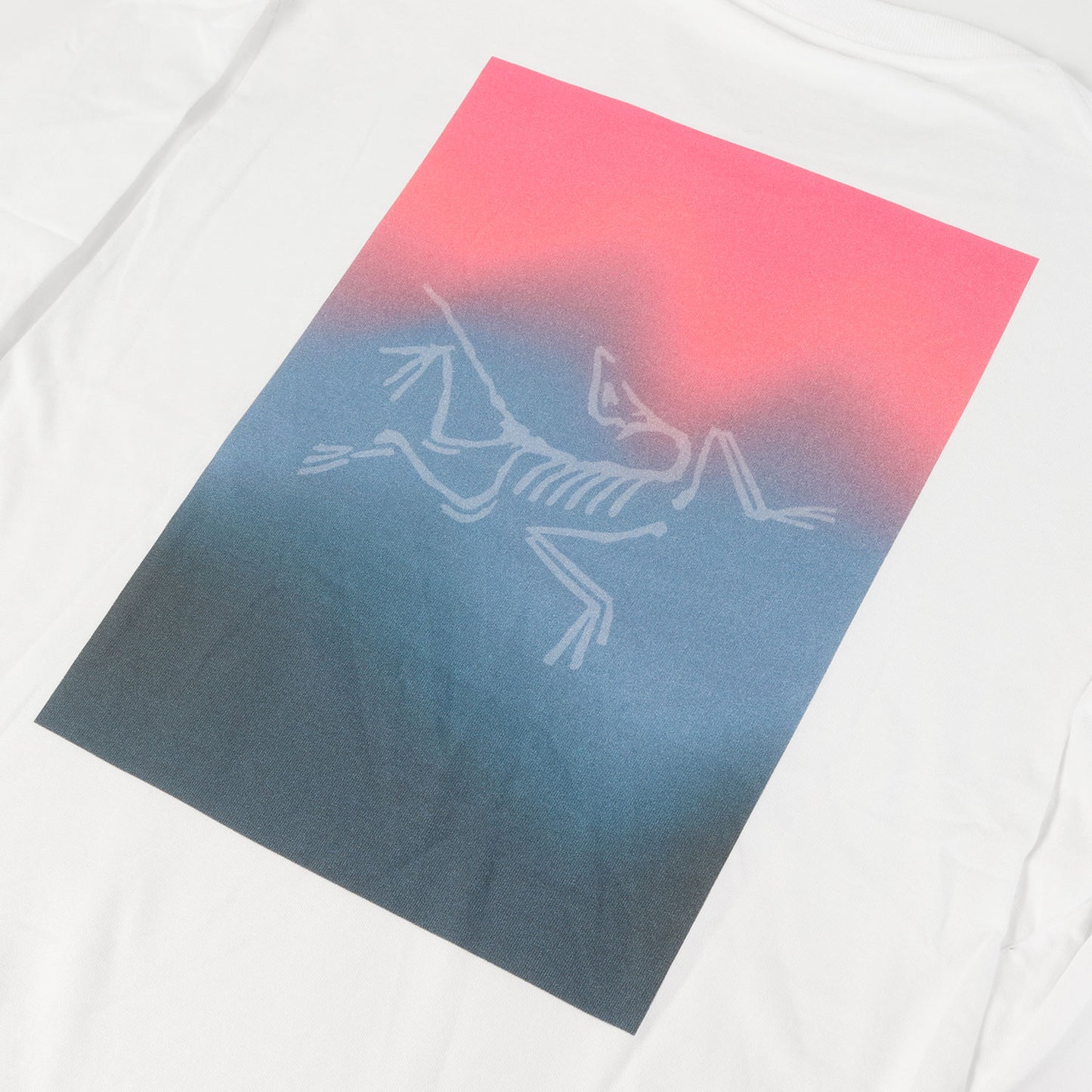 25SS グラフィック ロングスリーブ Tシャツ (Kragg Cotton Heatmap LS)
