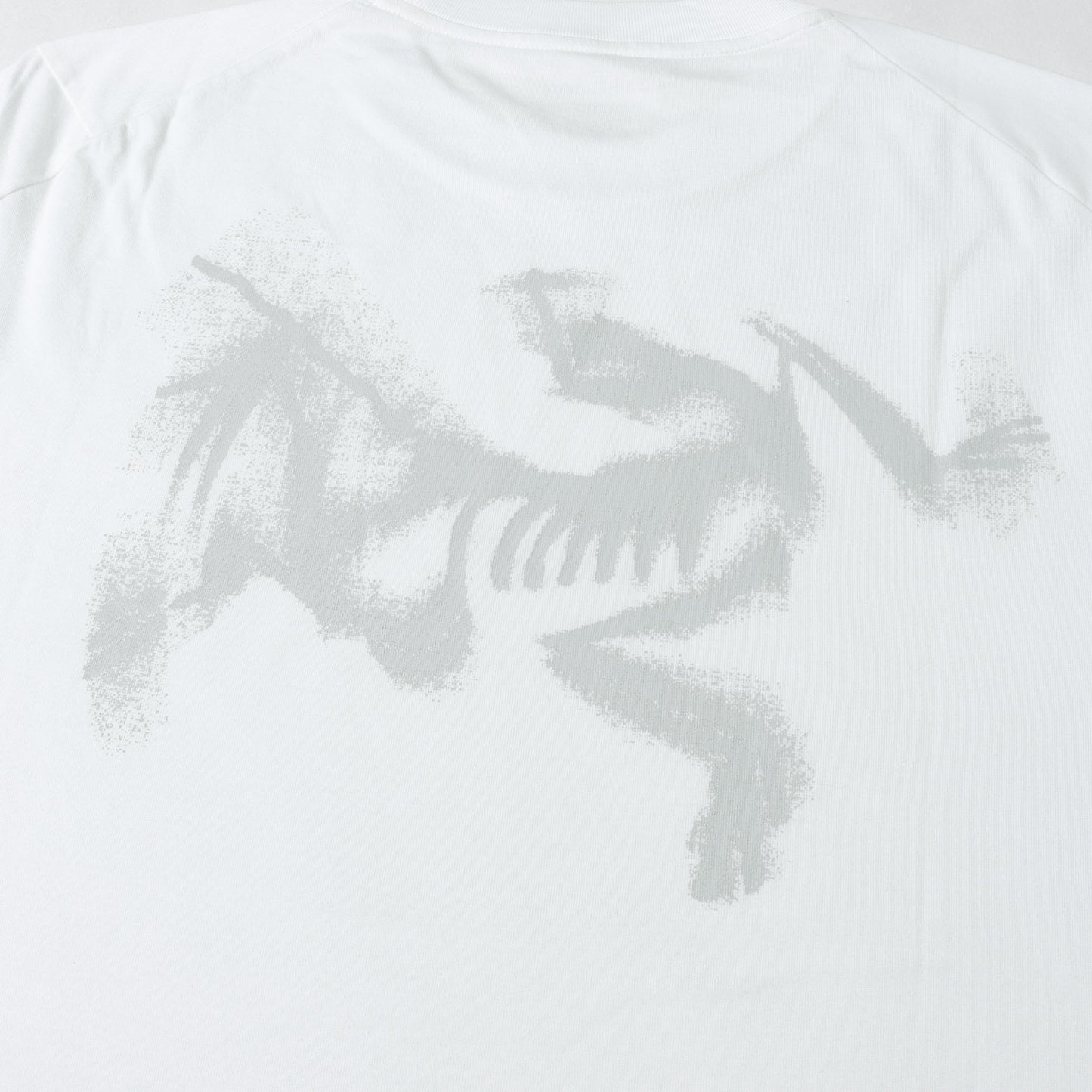 25SS グラフィック ロゴ Tシャツ (Kragg SL Cotton Blurred Bird SS)