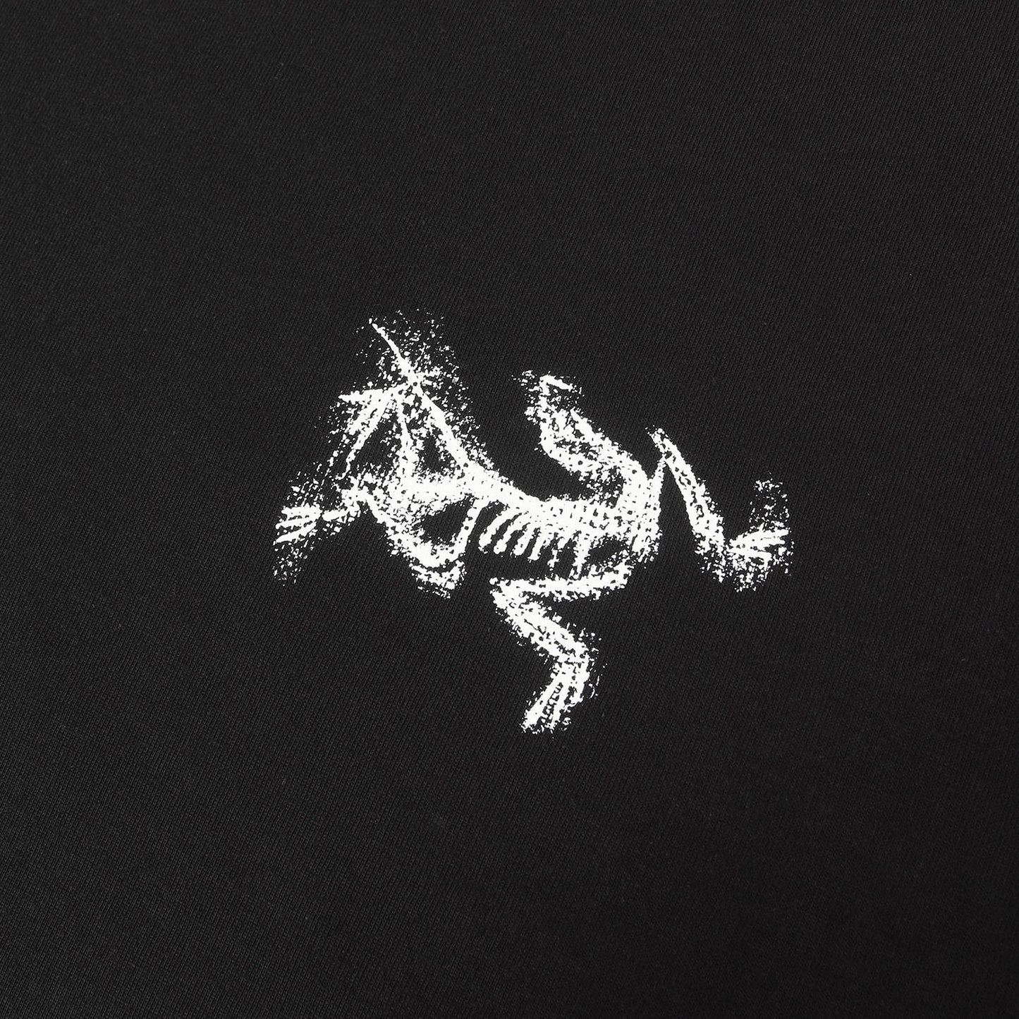 25AW グラフィック ロングスリーブ Tシャツ (Kragg SL Cotton Bird Tile LS)