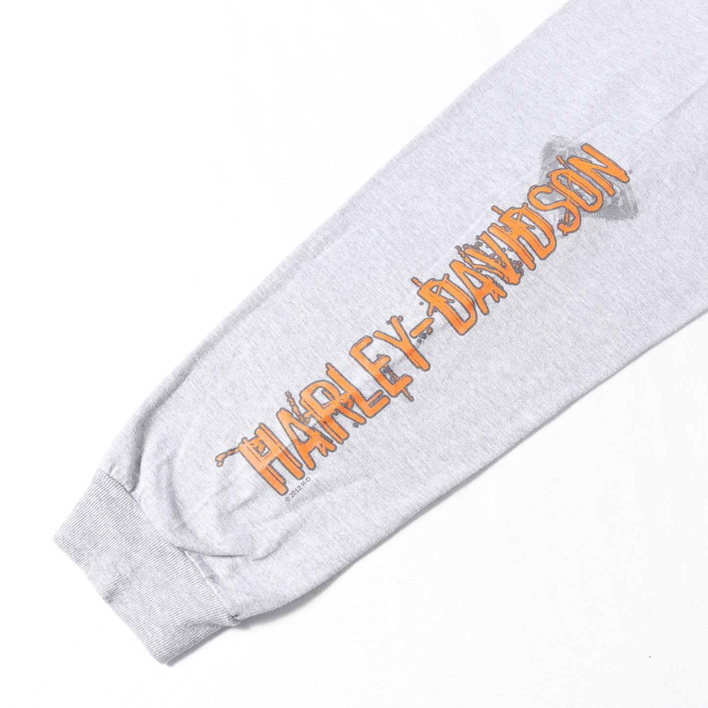 ピンナップガール グラフィック ロゴ ロングスリーブ Tシャツ