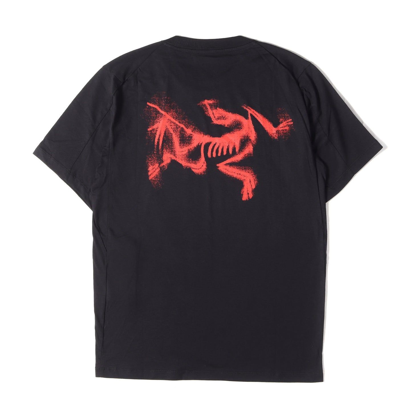 25SS グラフィック ロゴ Tシャツ (Kragg SL Cotton Blurred Bird SS)