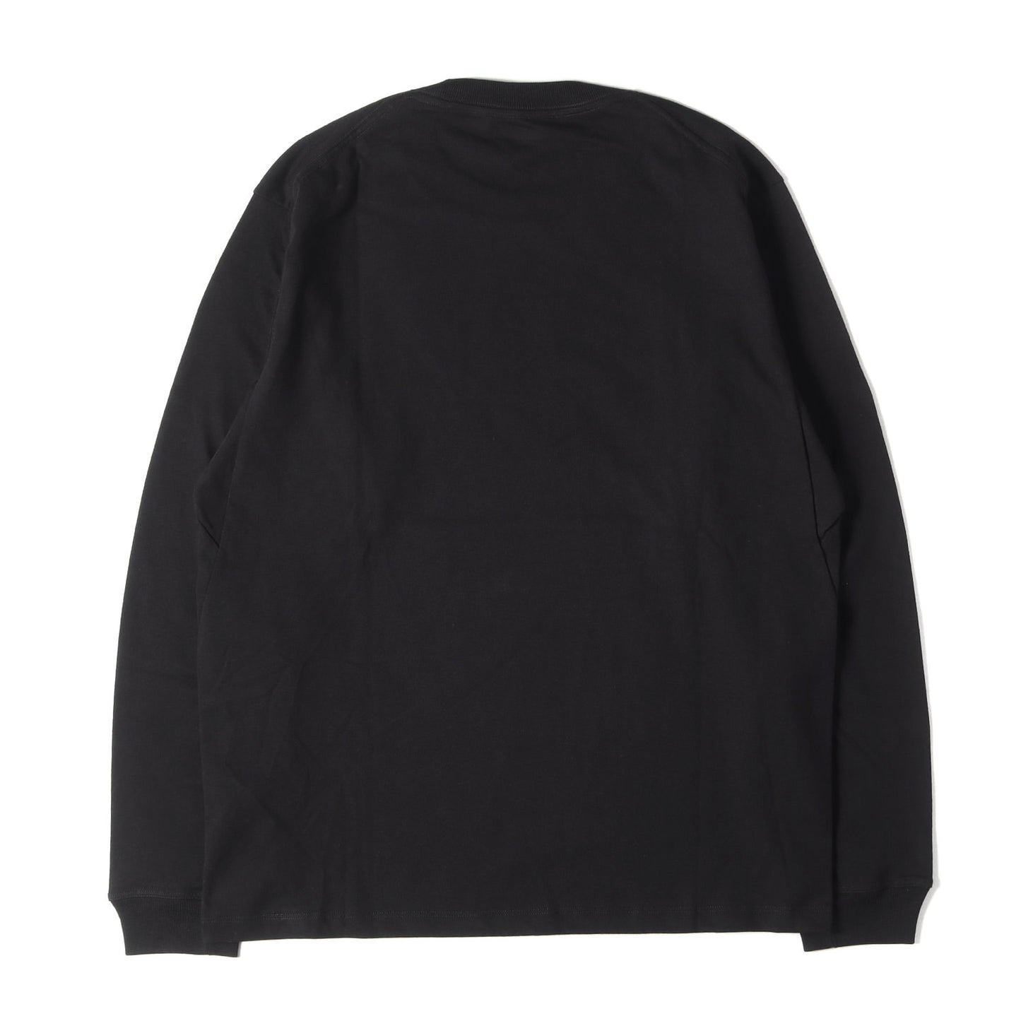 25AW グラフィック ロングスリーブ Tシャツ (Kragg Cotton LS)