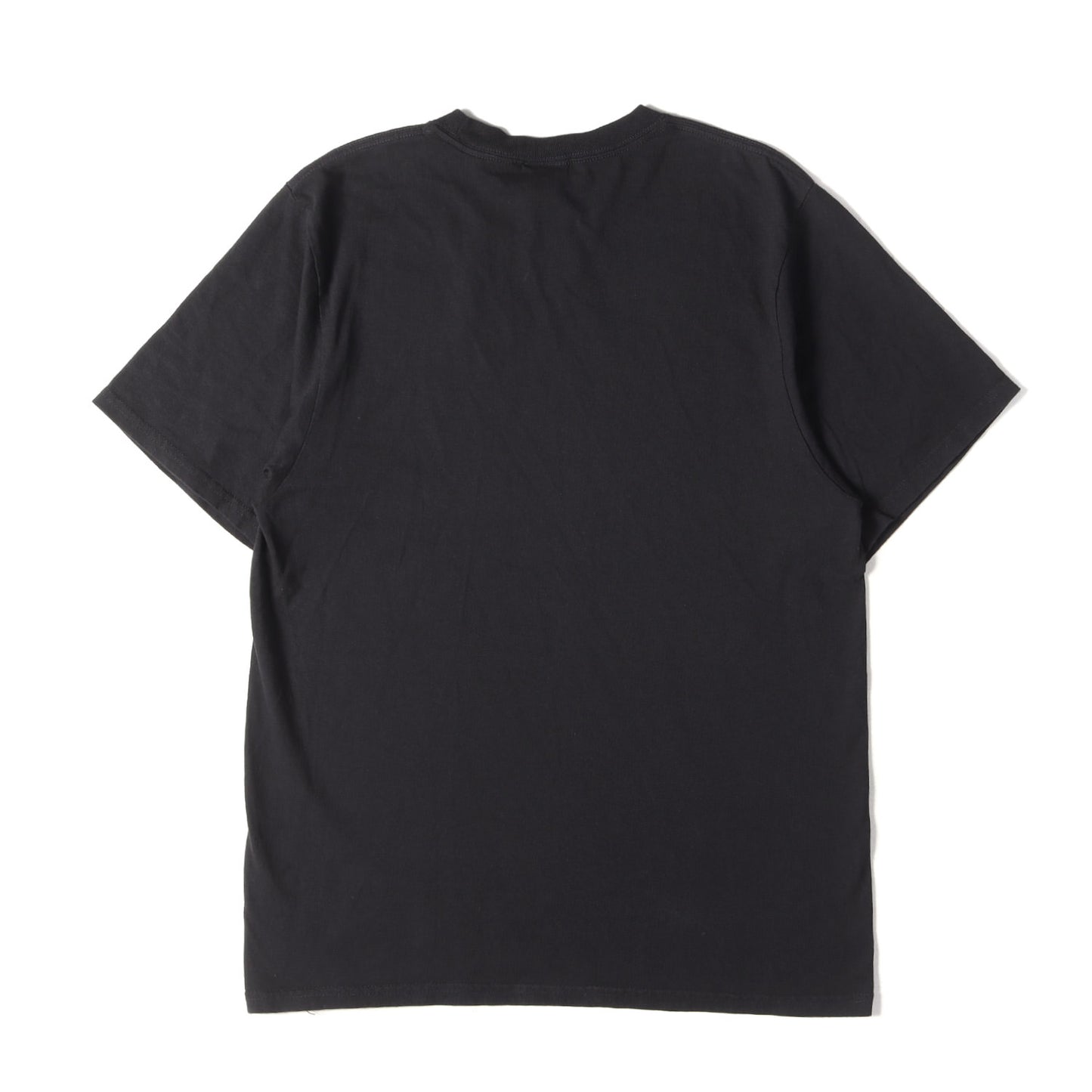 25SS ピグメントダイ ロゴ Tシャツ (Jumbo Pigment Dyed Tee)