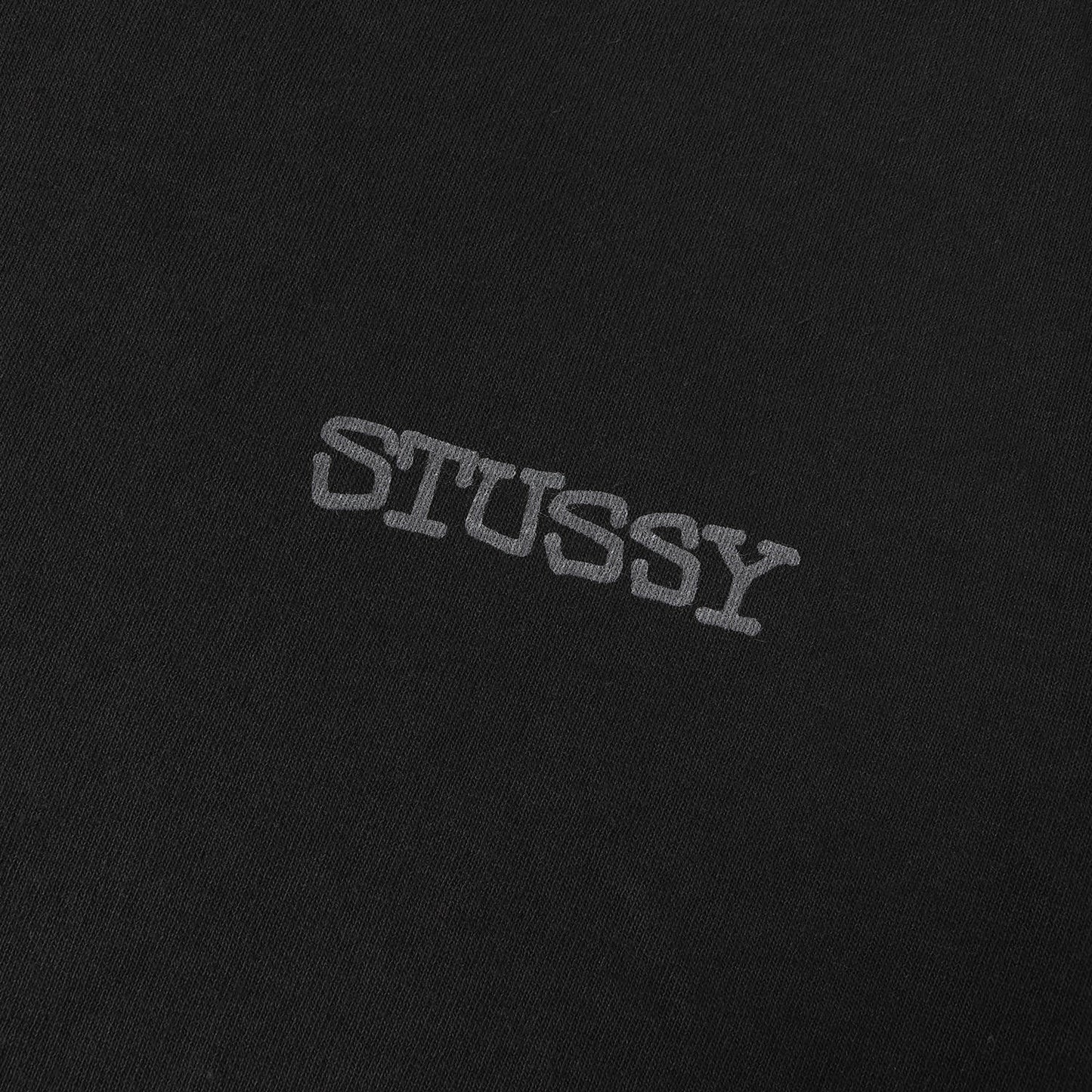 25SS ピグメントダイ ロゴ Tシャツ (Jumbo Pigment Dyed Tee)