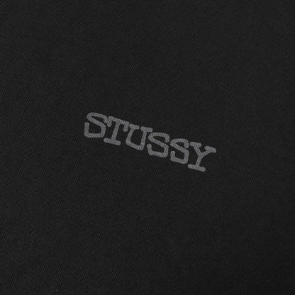 25SS ピグメントダイ ロゴ Tシャツ (Jumbo Pigment Dyed Tee)