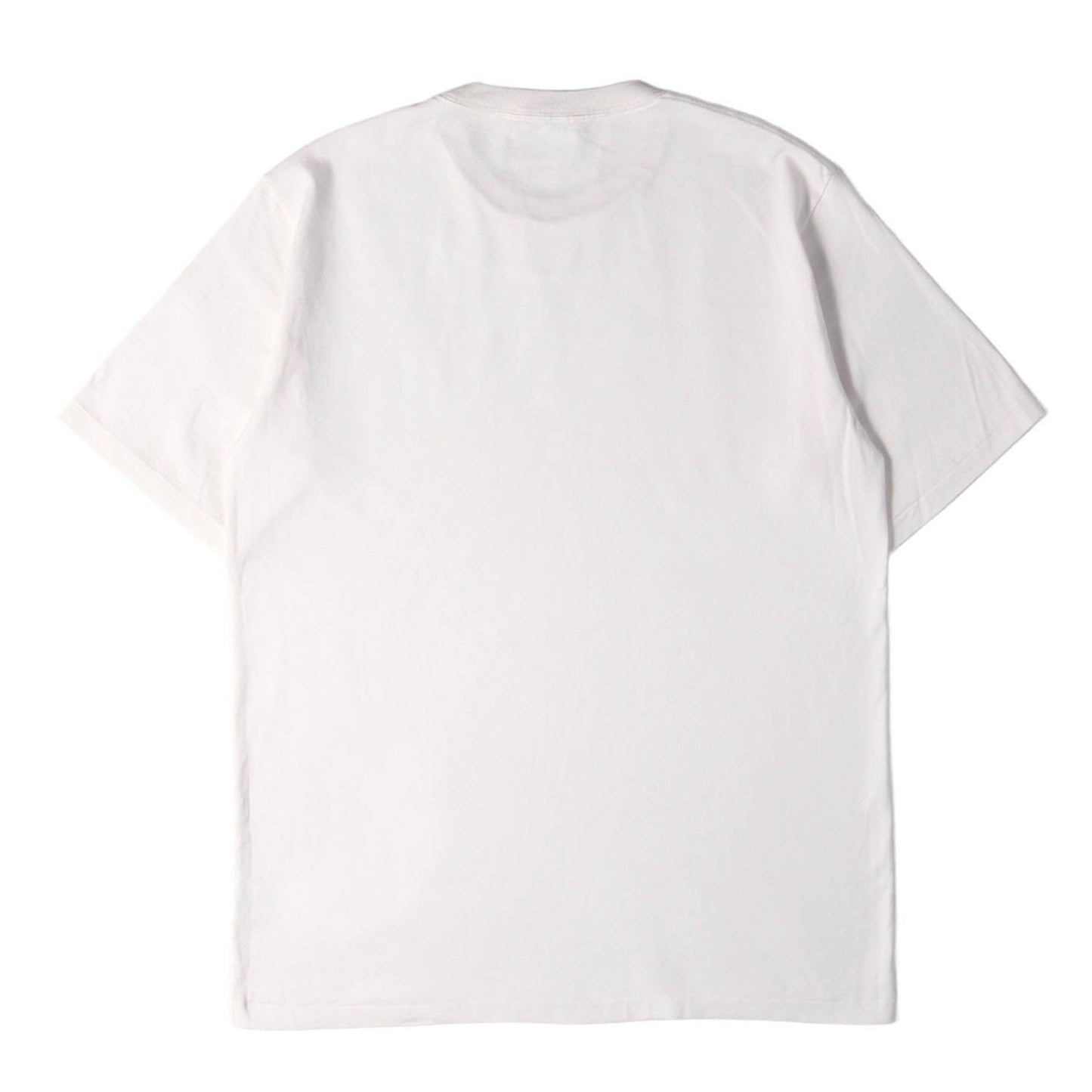 ラスター プレーティング Tシャツ (Luster Plaiting Tee)