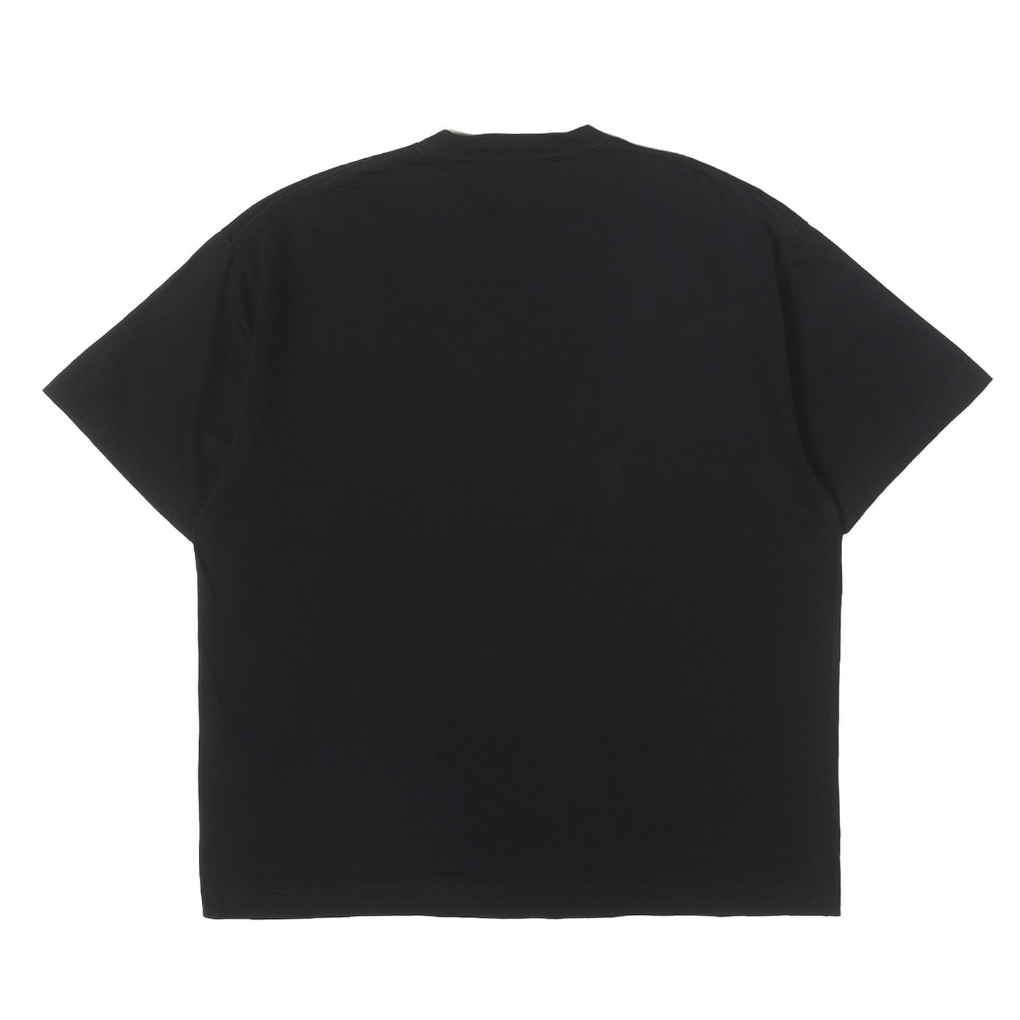 25SS クラシックロゴ Tシャツ (Printed Graphic S/S Tee Classic Logo)