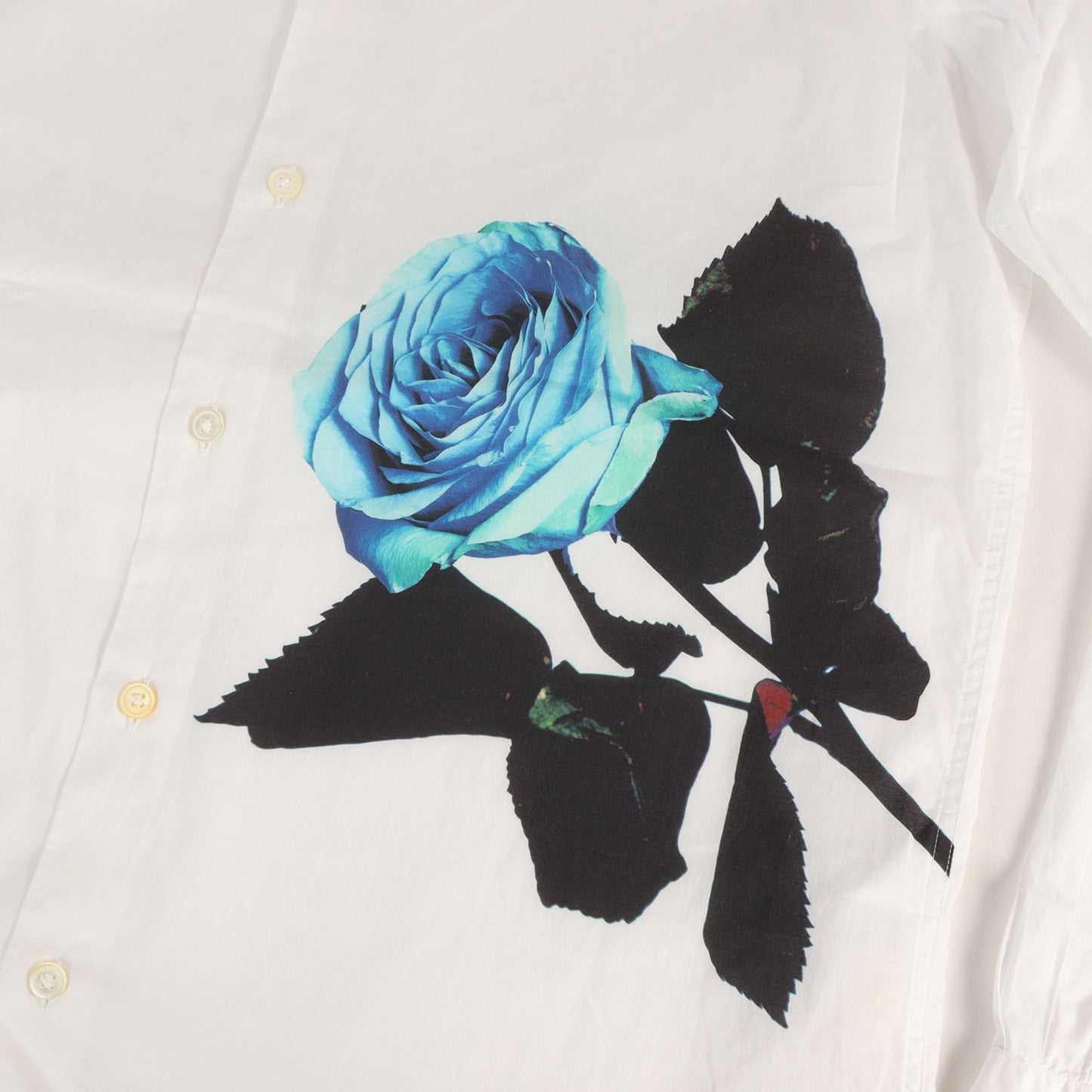 チェリー ローズ ドレスシャツ (ROSE PLACEMENT PRINT SHIRT) / MADE IN JAPAN