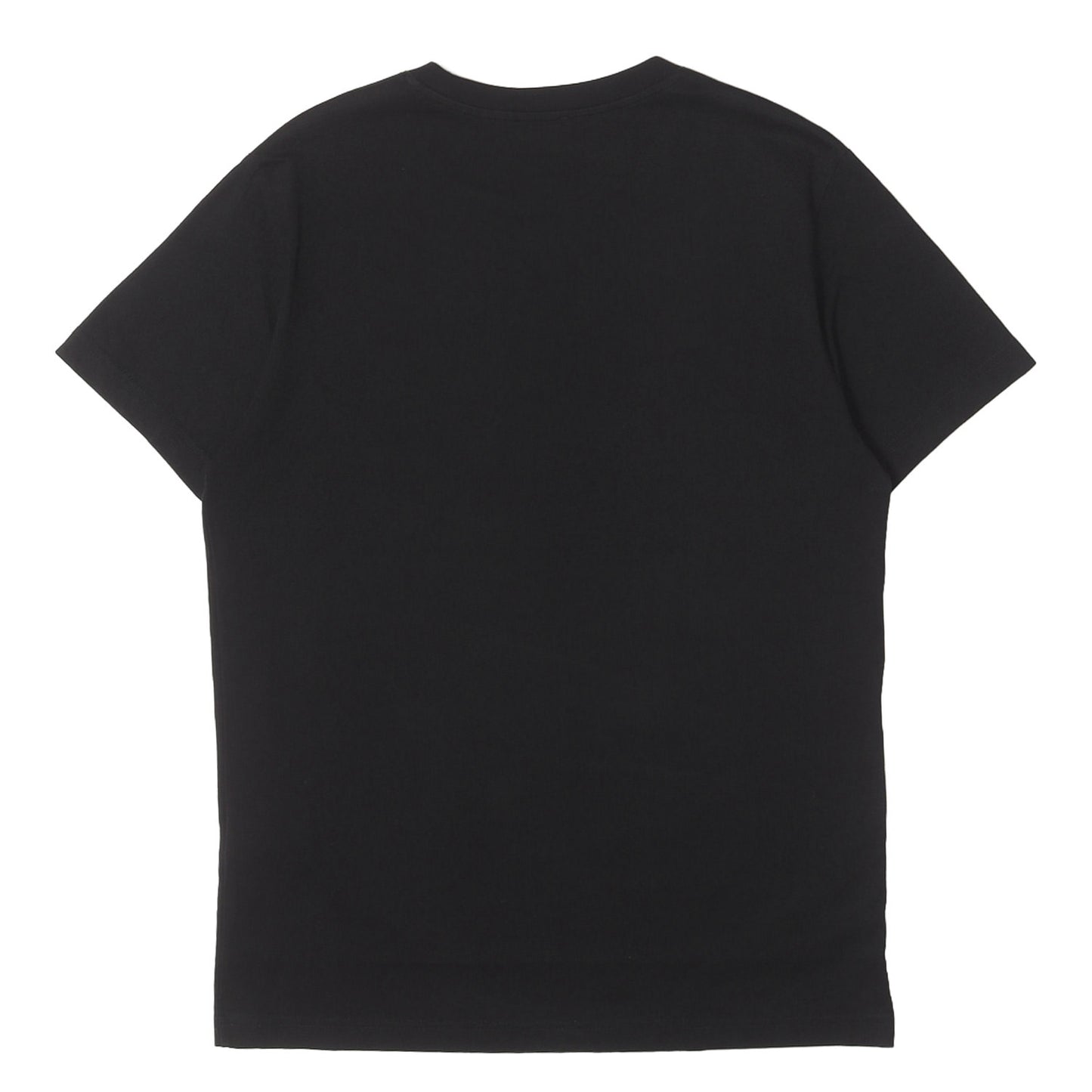 22SS グラフィック ロゴ Tシャツ (T-DIEGOR-C7)