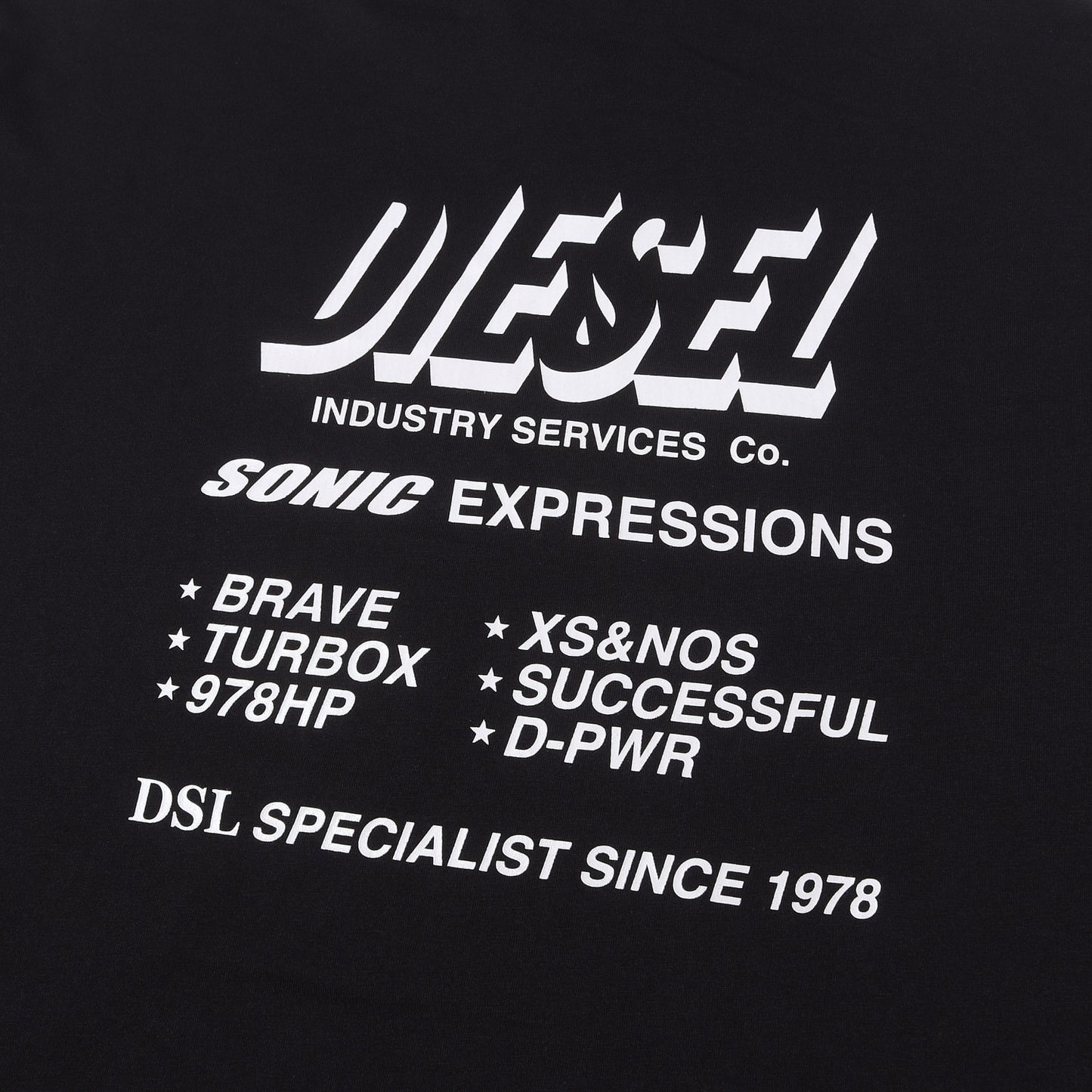 21AW グラフィック ロゴ Tパーカー (T-JUST-LS-HOOD-SLITS-A1) / GREEN LABEL
