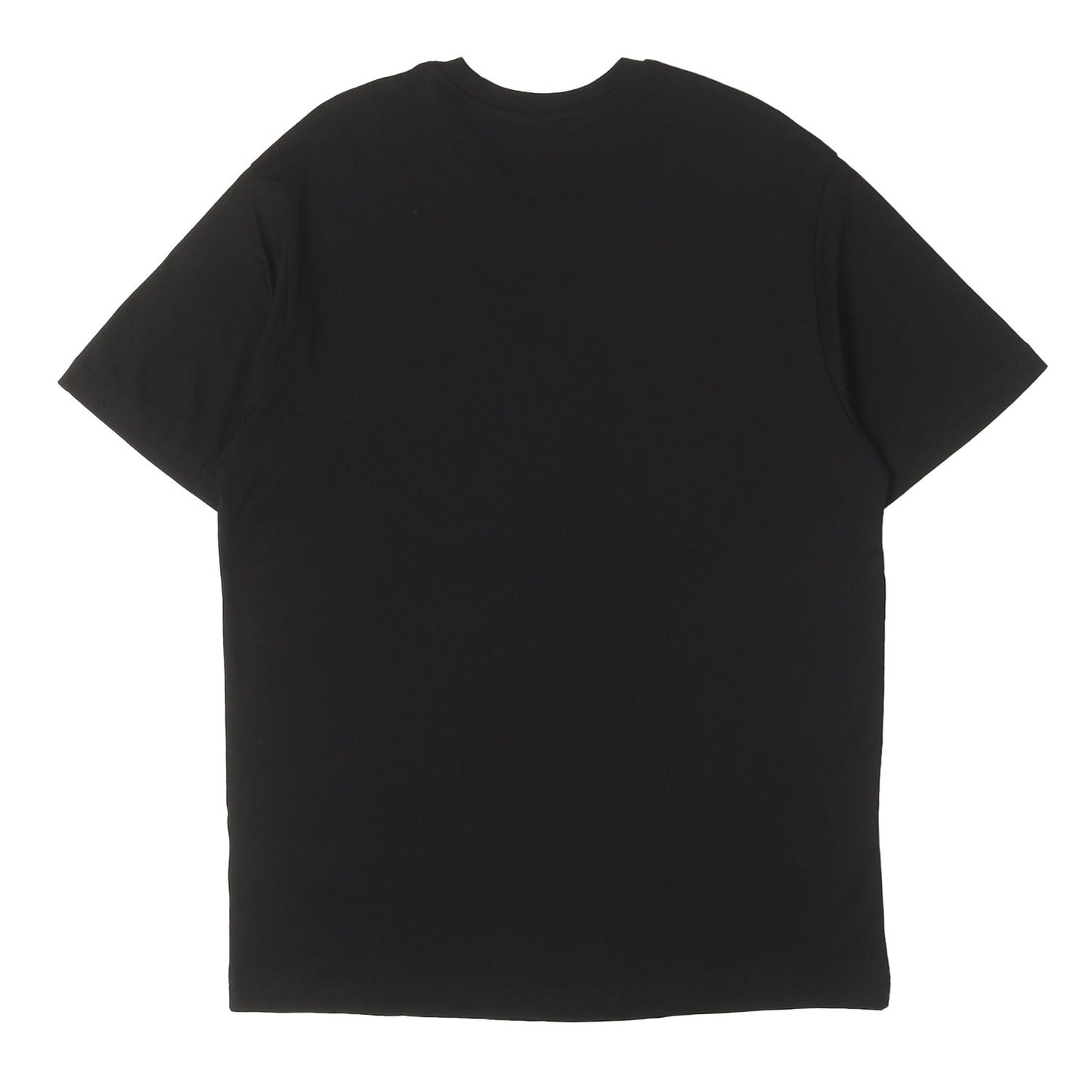 24SS グラフィック ロゴ Tシャツ (TERECOP)