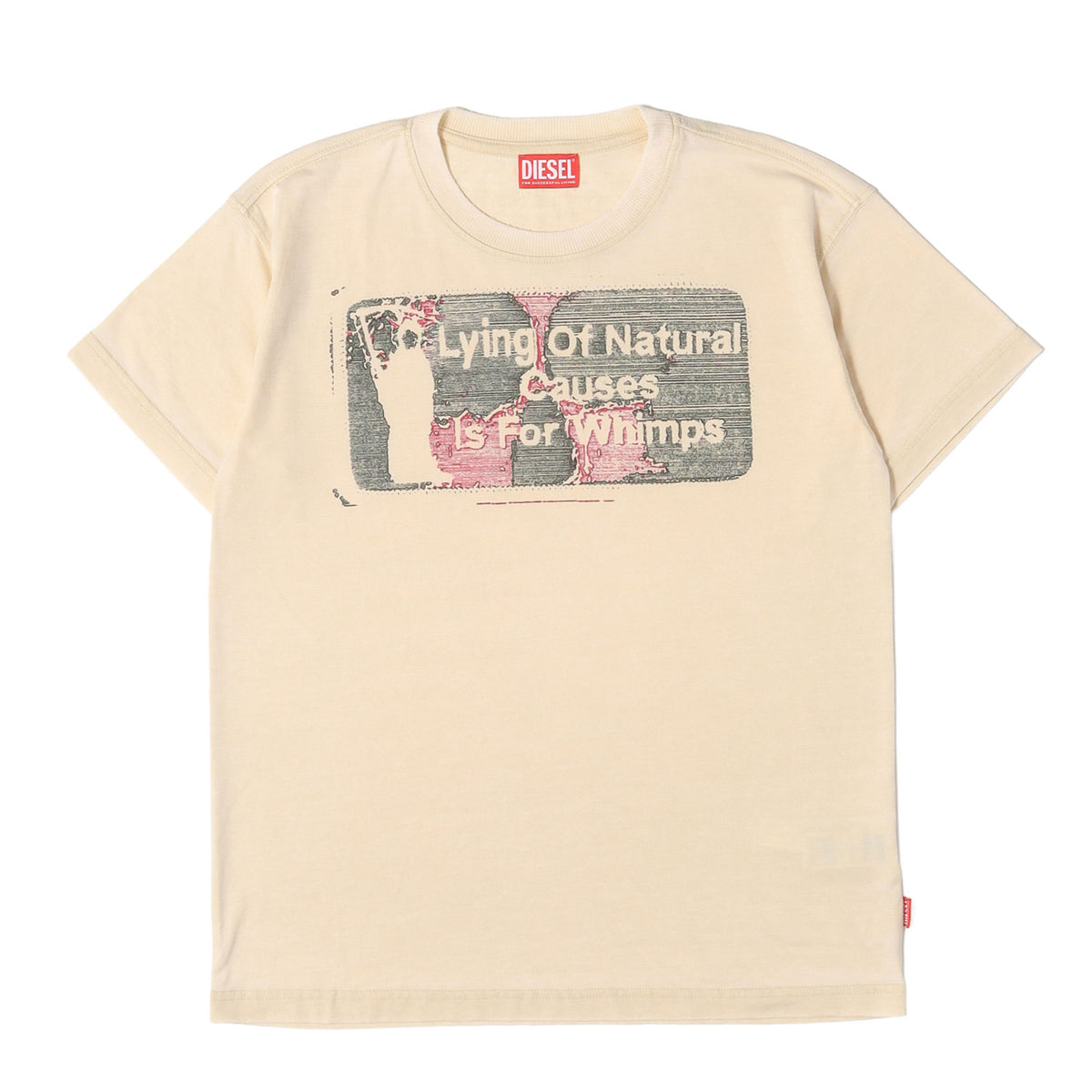 25SS バーンアウトウォッシュ加工 グラフィックロゴ Tシャツ (T-NORM-T2)