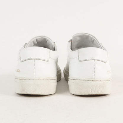 Achilles Low (1528 0506)